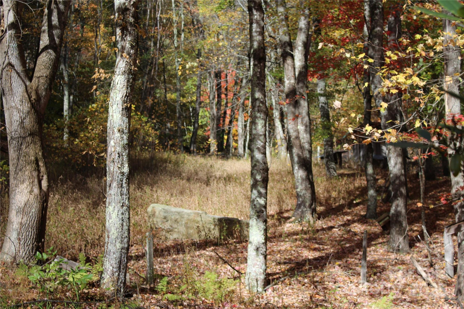 1571 Roaring Fork Road - Photo 5