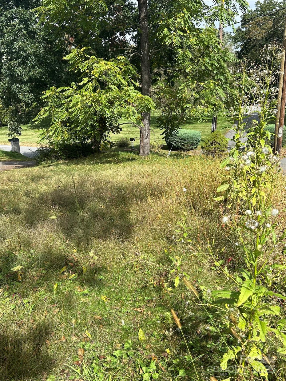 59 Wyatt Street - Photo 2