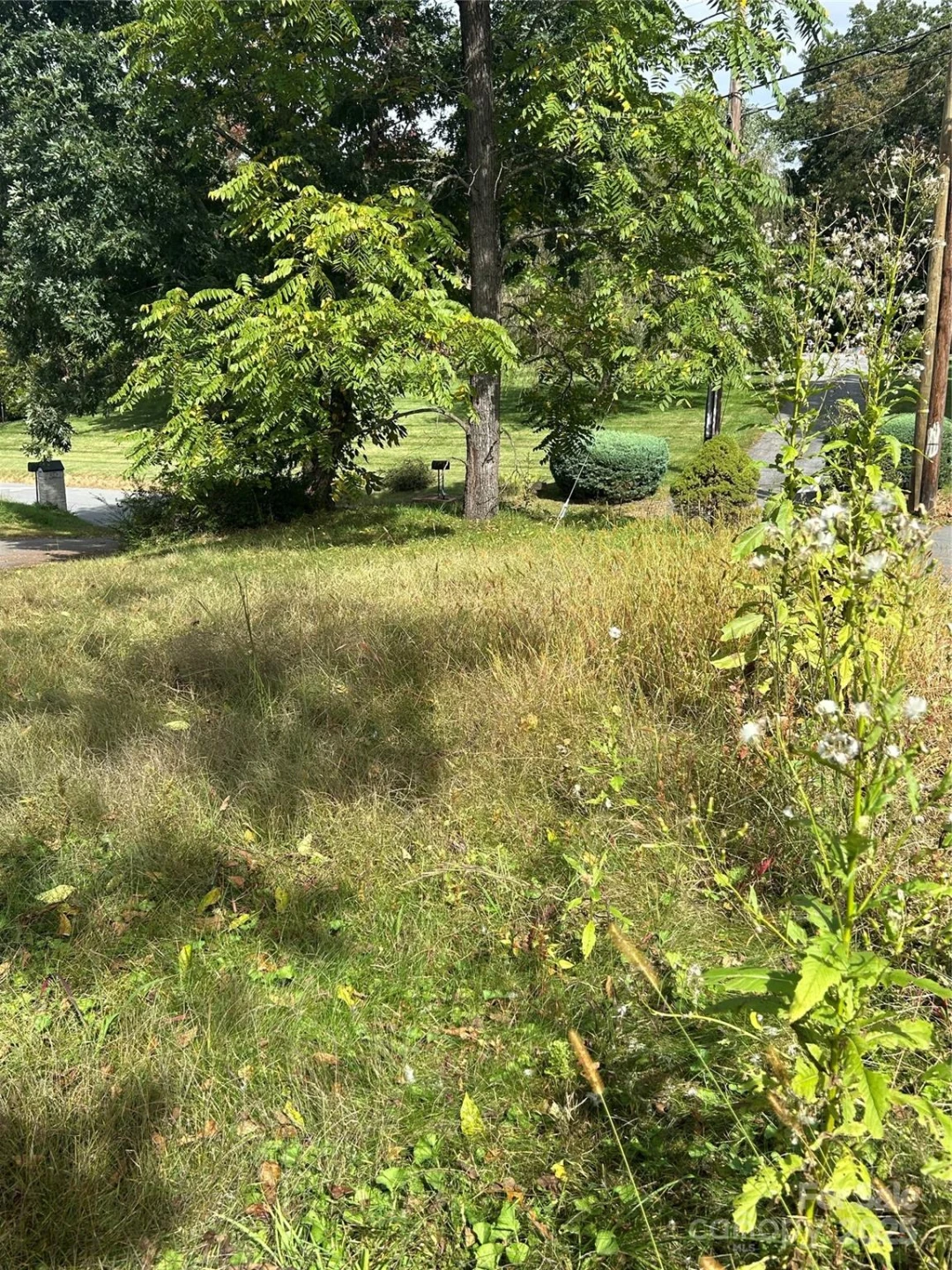 59 Wyatt Street - Photo 2
