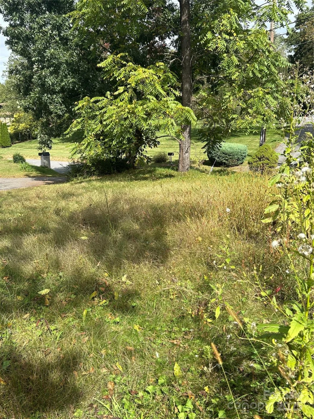 59 Wyatt Street - Photo 3
