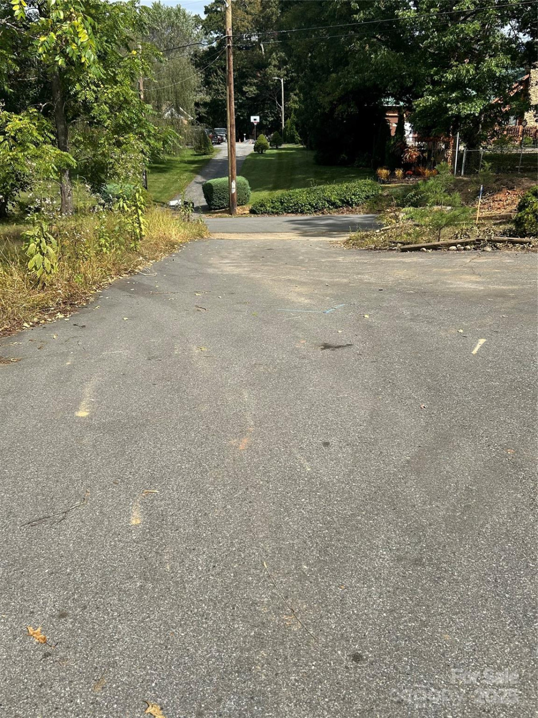 59 Wyatt Street - Photo 5