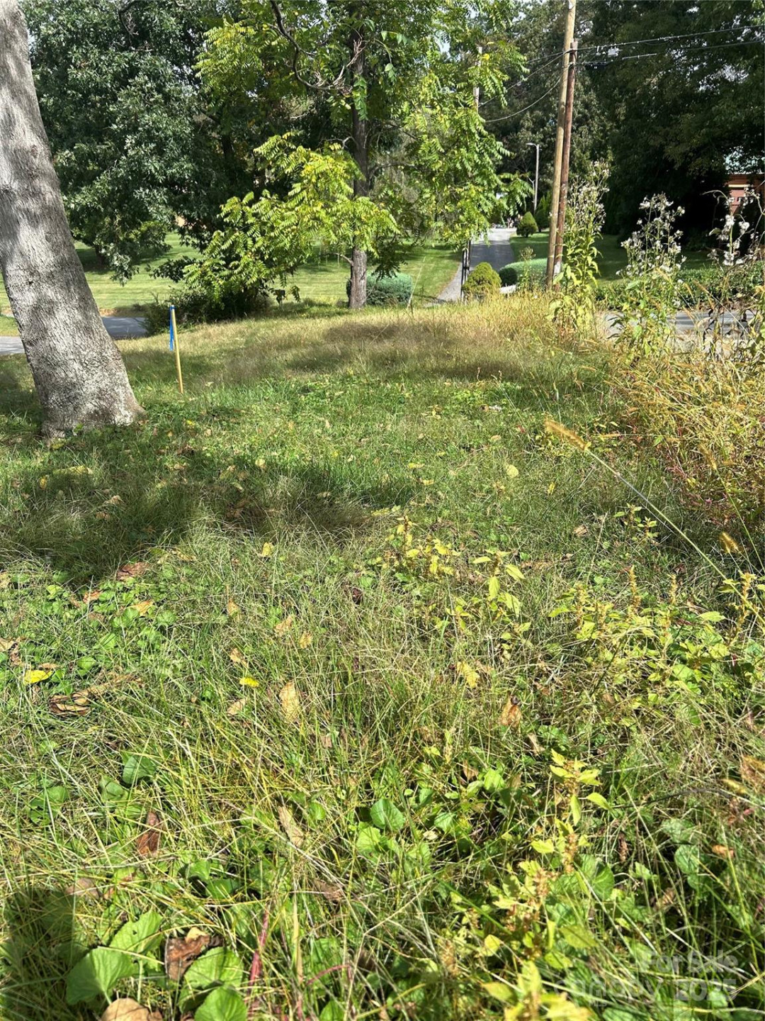 59 Wyatt Street - Photo 7