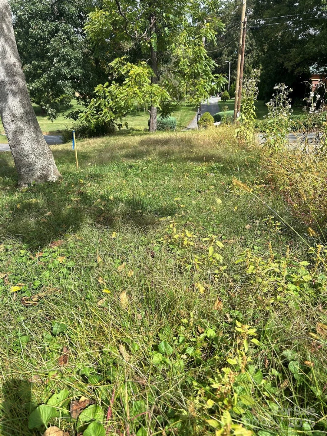 59 Wyatt Street - Photo 7
