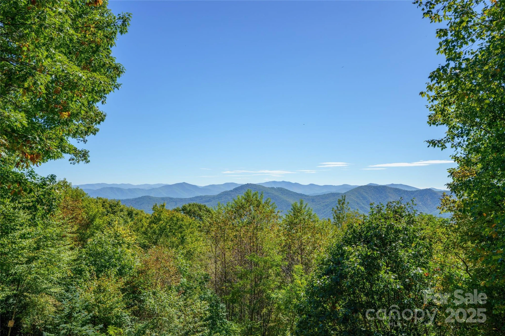 287 Leatherwood Road - Photo 21
