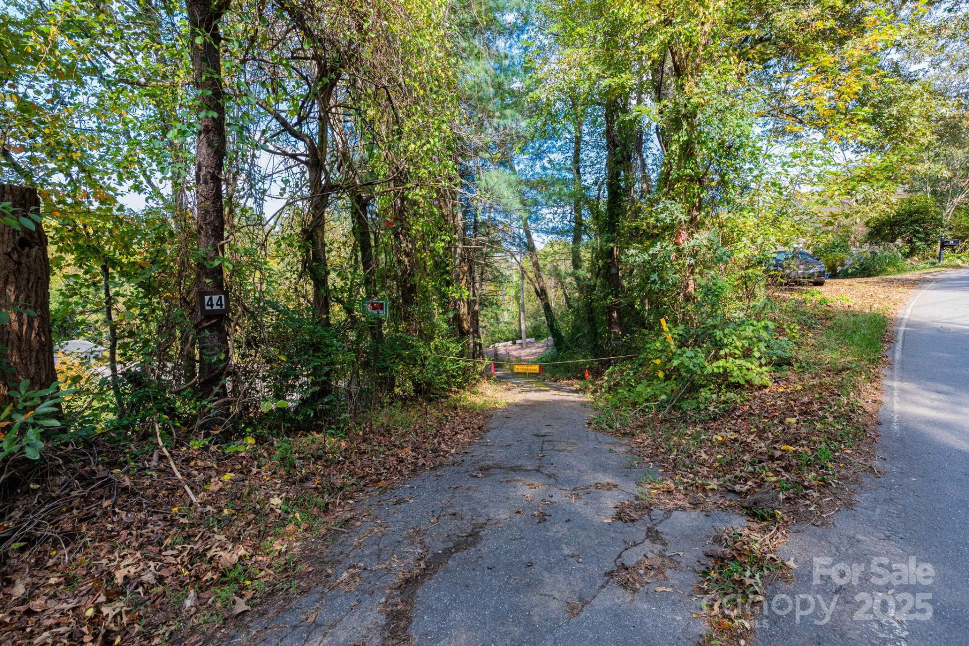 36, 40, 44 Lakeside Drive - Photo 3