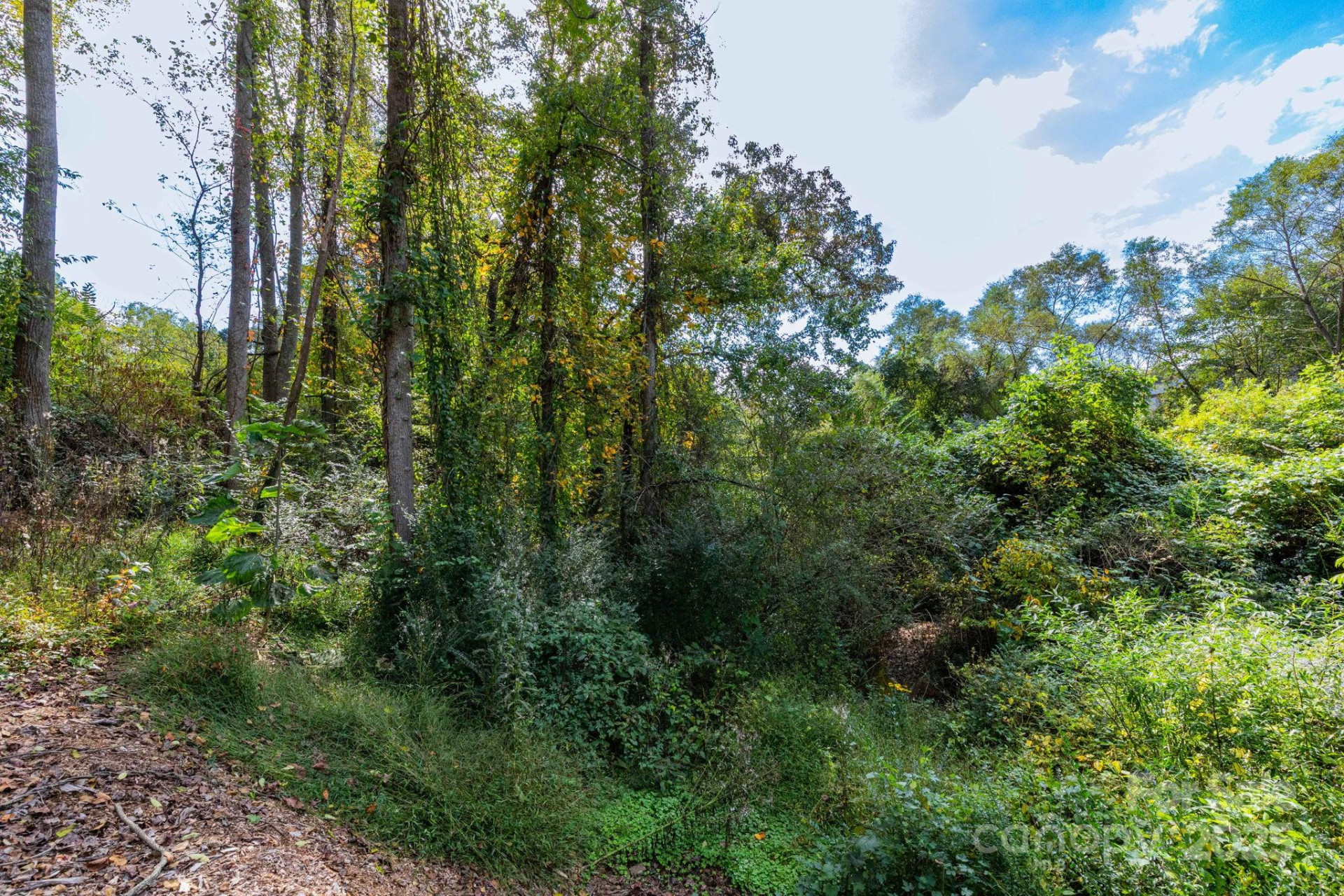 36, 40, 44 Lakeside Drive - Photo 6