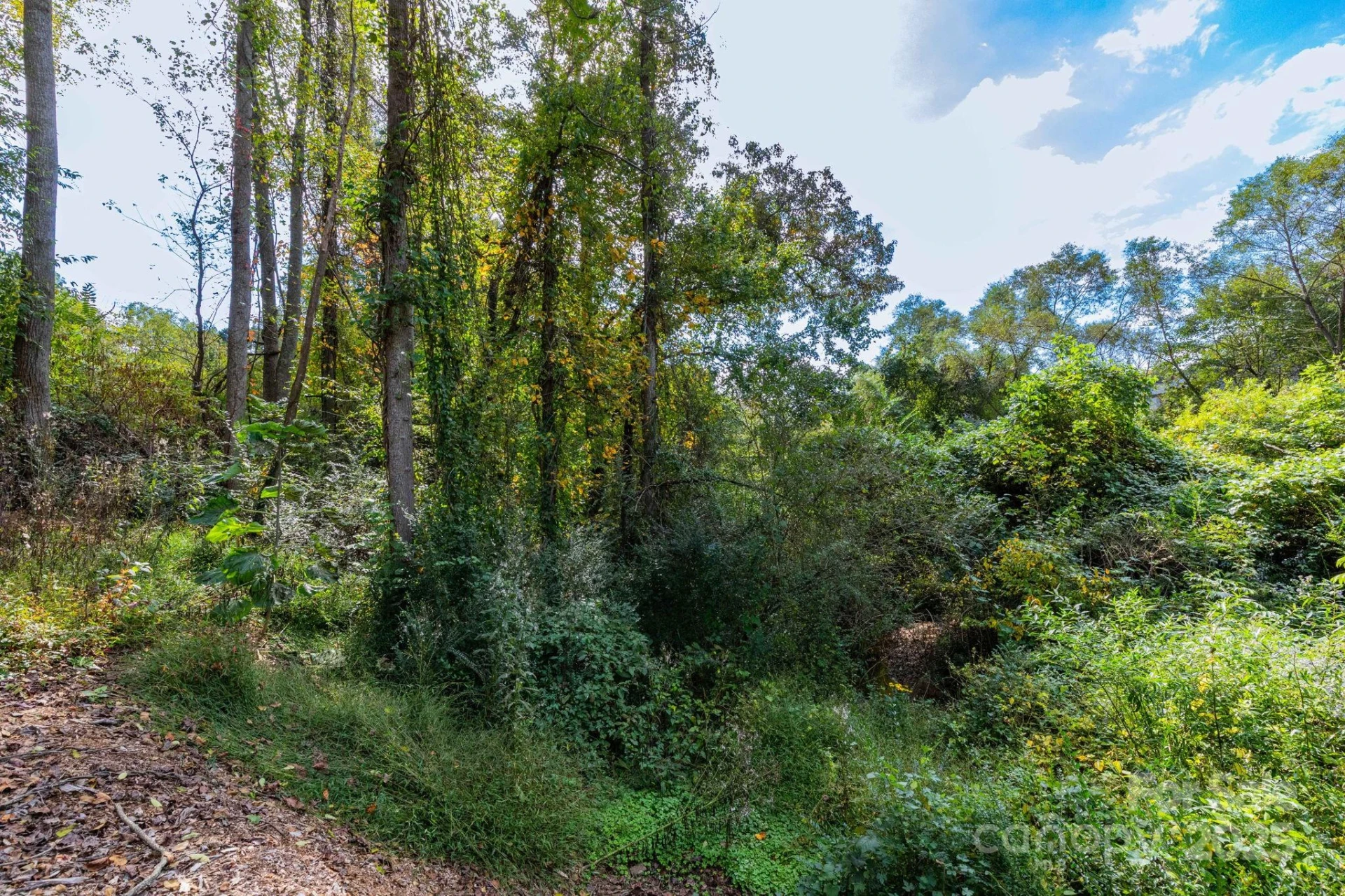 36, 40, 44 Lakeside Drive - Photo 6