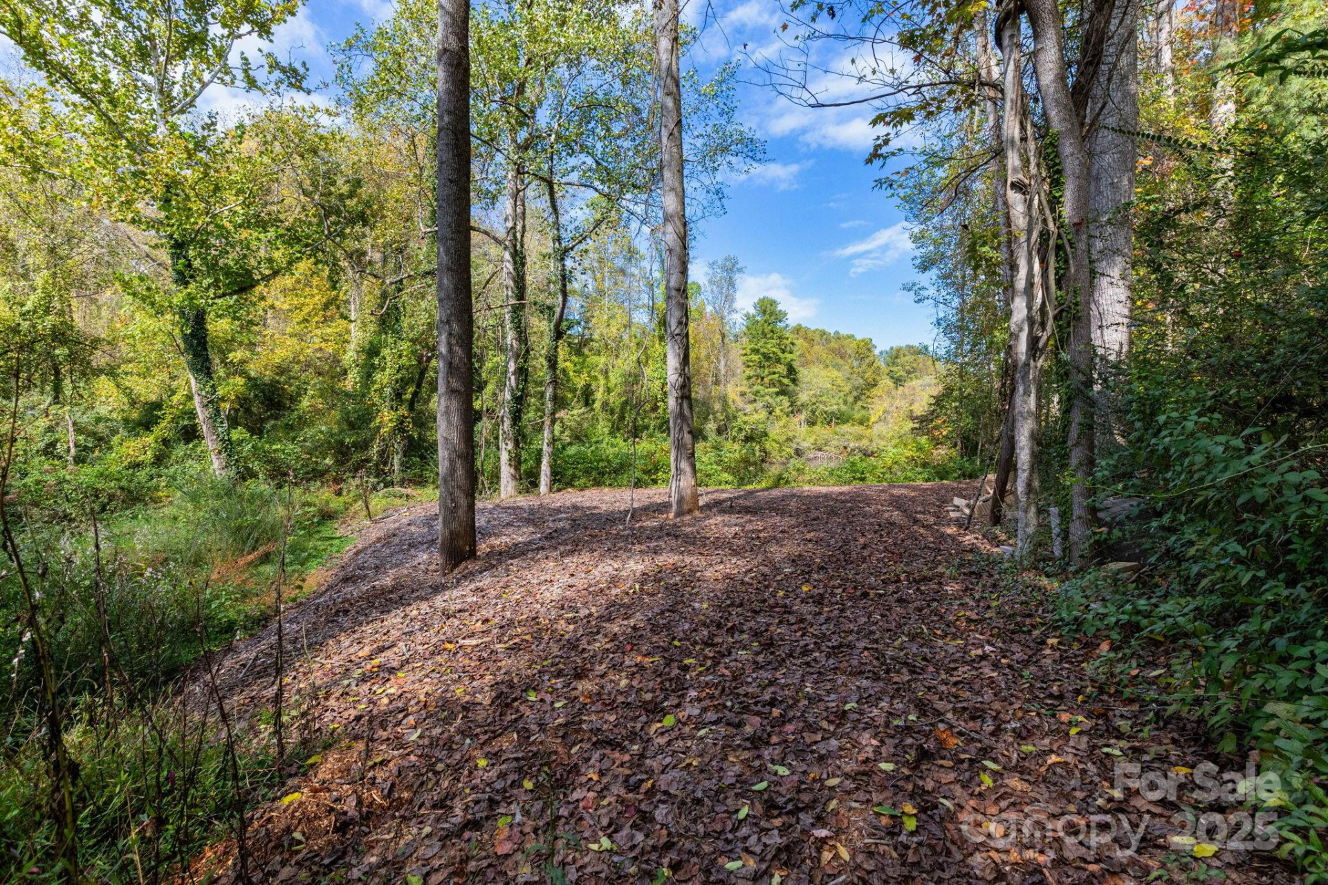 36, 40, 44 Lakeside Drive - Photo 7