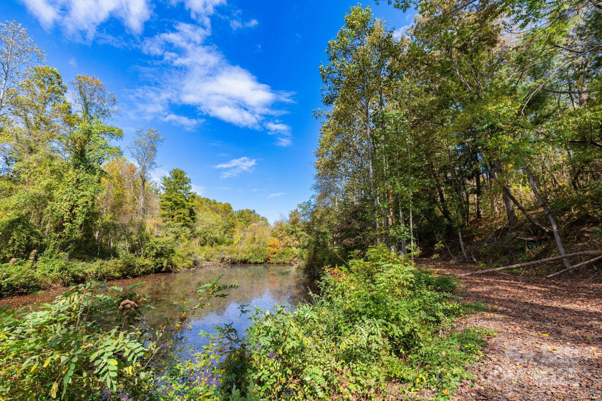 36, 40, 44 Lakeside Drive - Photo 8