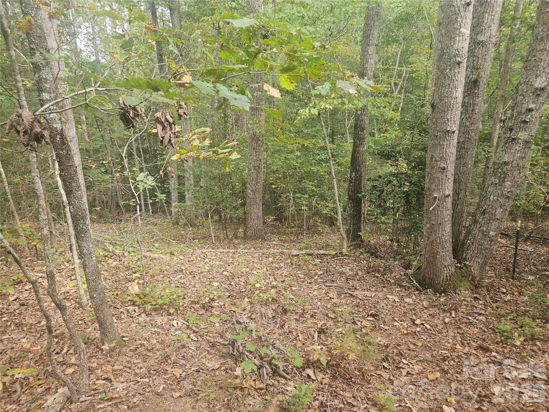 158 Dusty Hollow - Photo 21