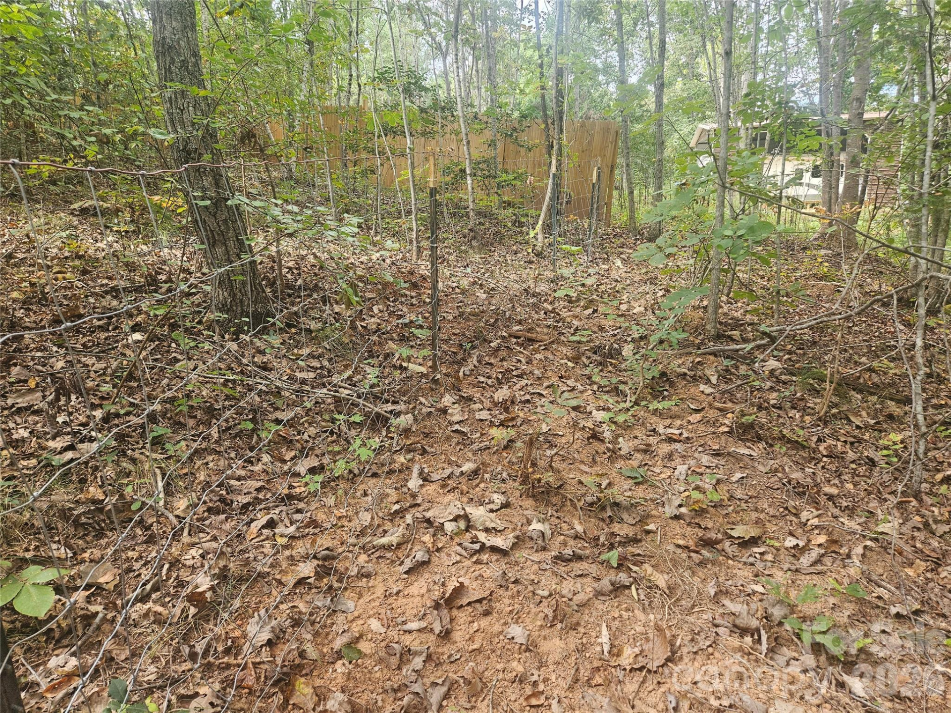 158 Dusty Hollow - Photo 23