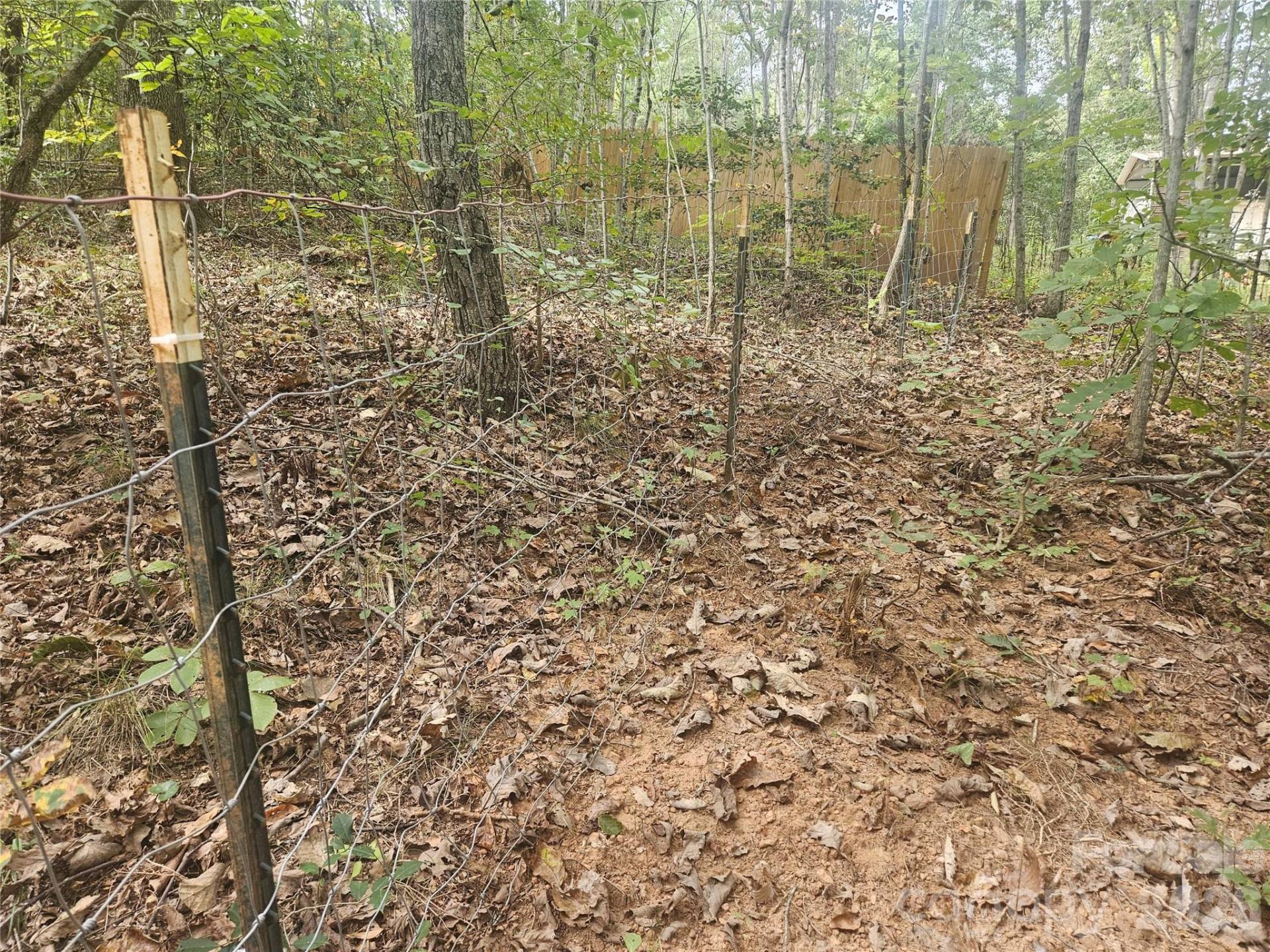 158 Dusty Hollow - Photo 25