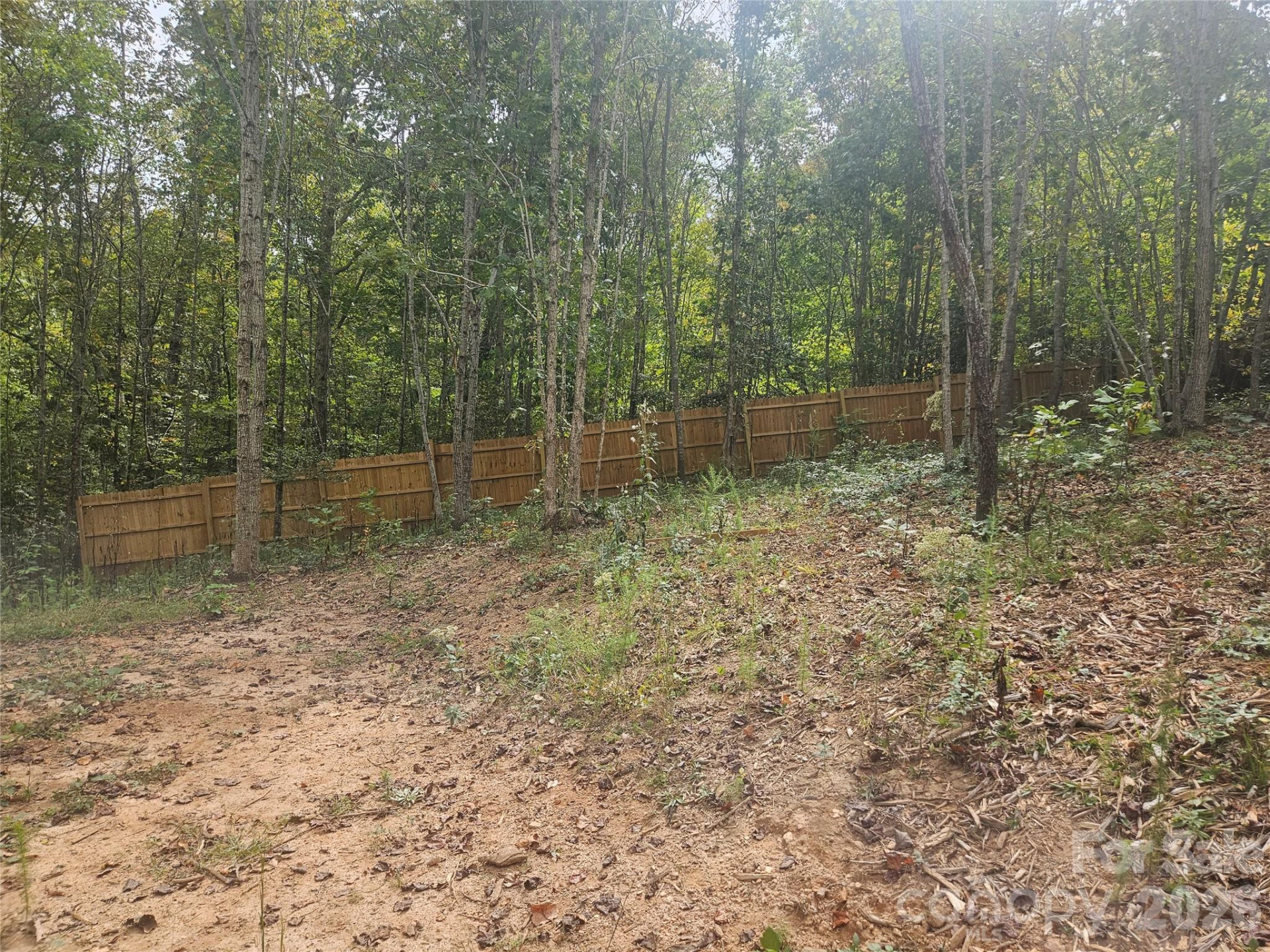 158 Dusty Hollow - Photo 31