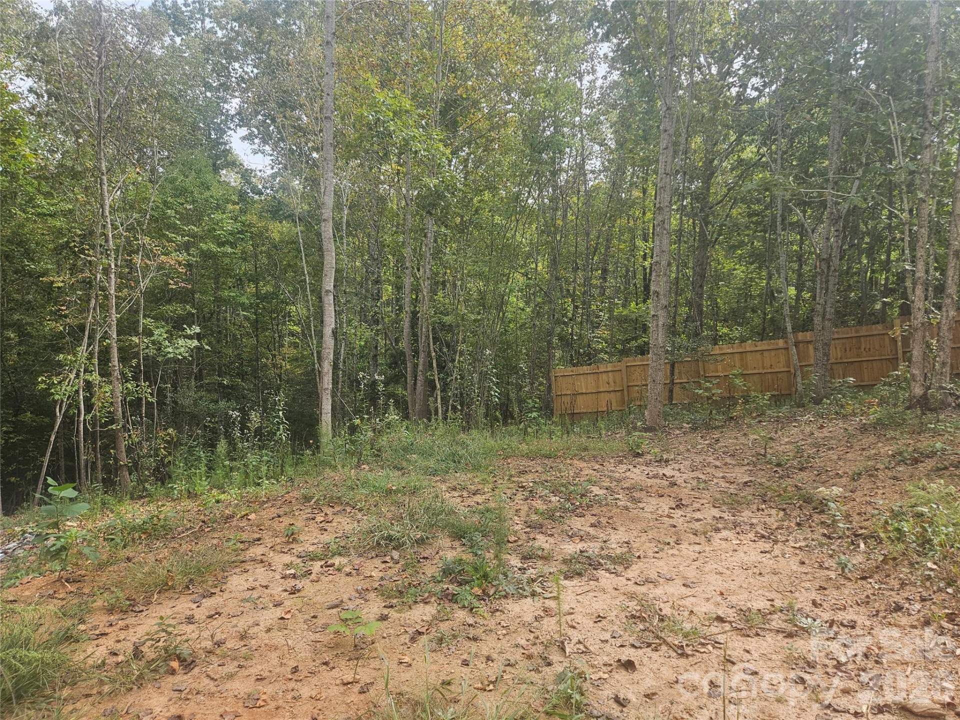 158 Dusty Hollow - Photo 33