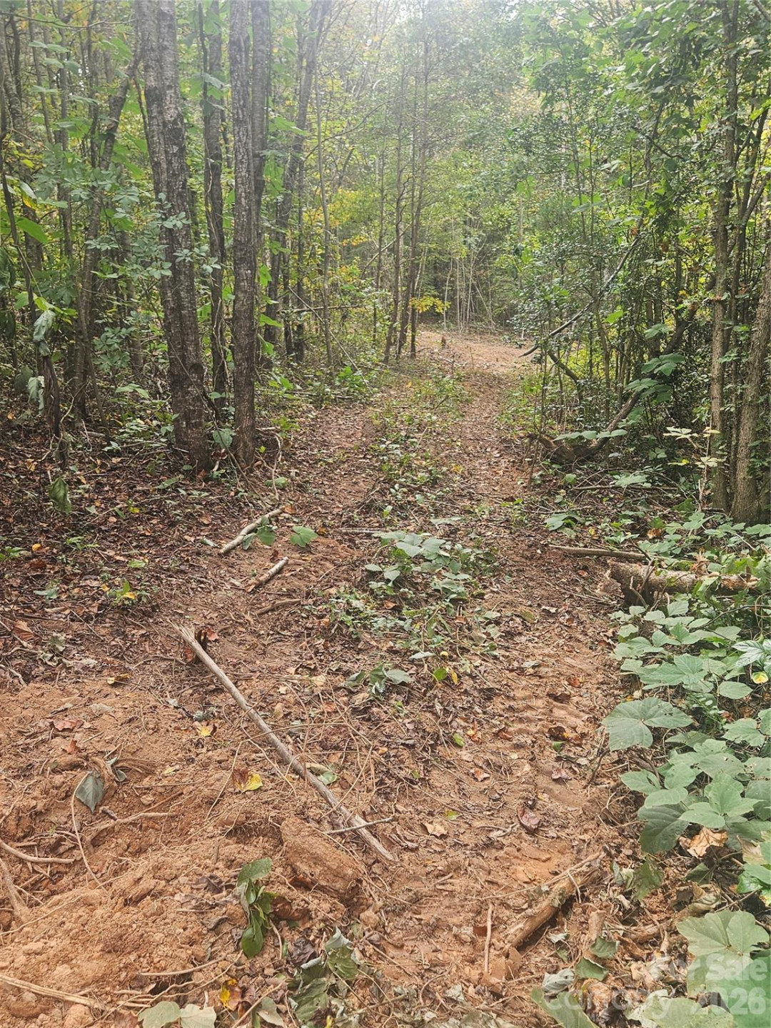 158 Dusty Hollow - Photo 51