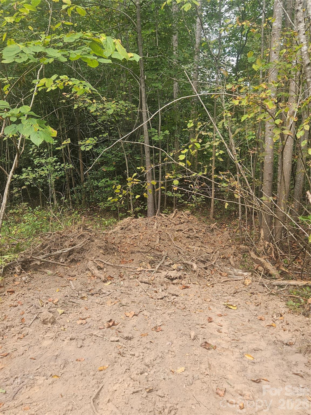 158 Dusty Hollow - Photo 53