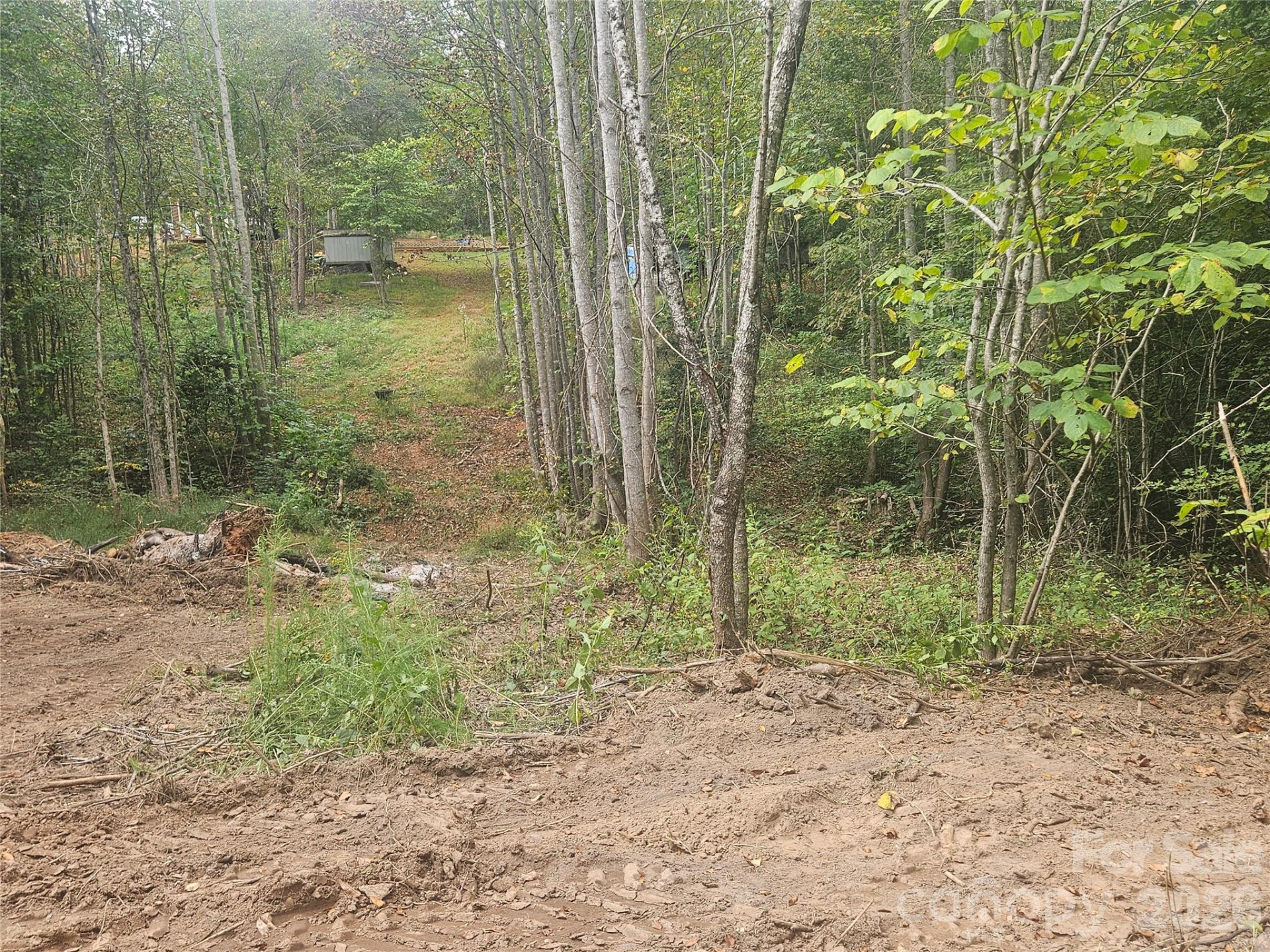 158 Dusty Hollow - Photo 55