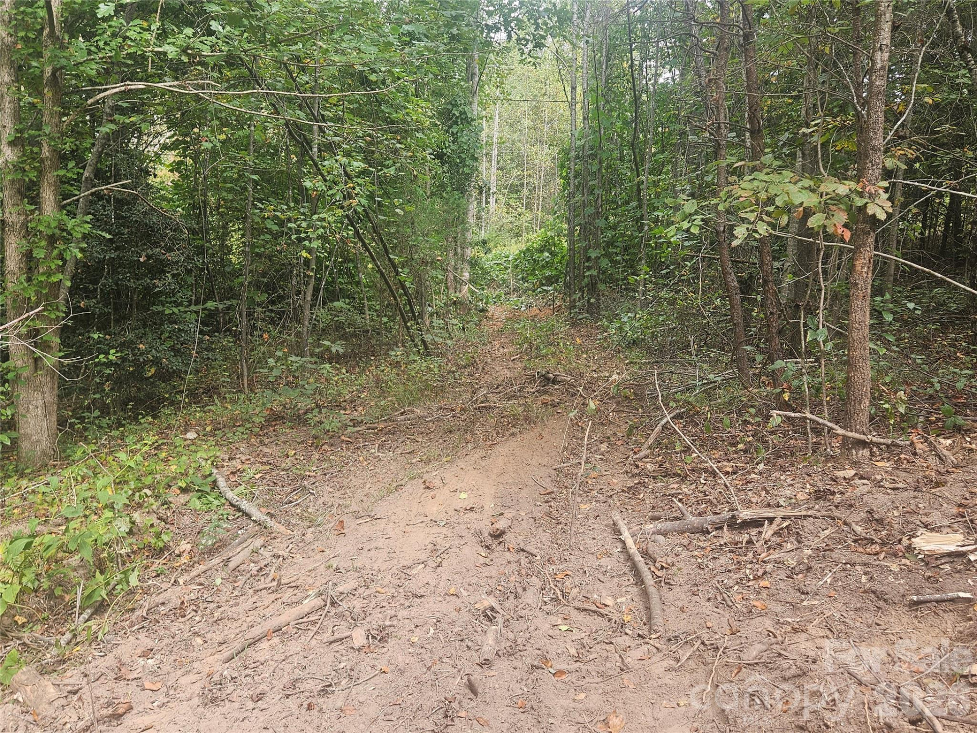 158 Dusty Hollow - Photo 57