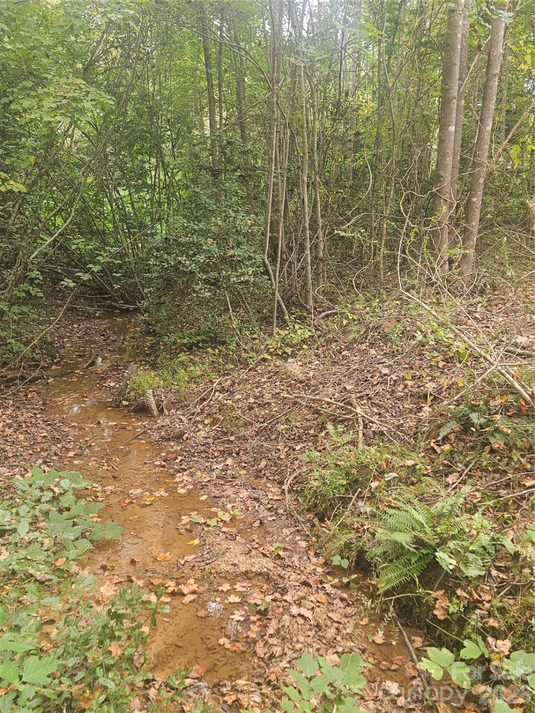 158 Dusty Hollow - Photo 7