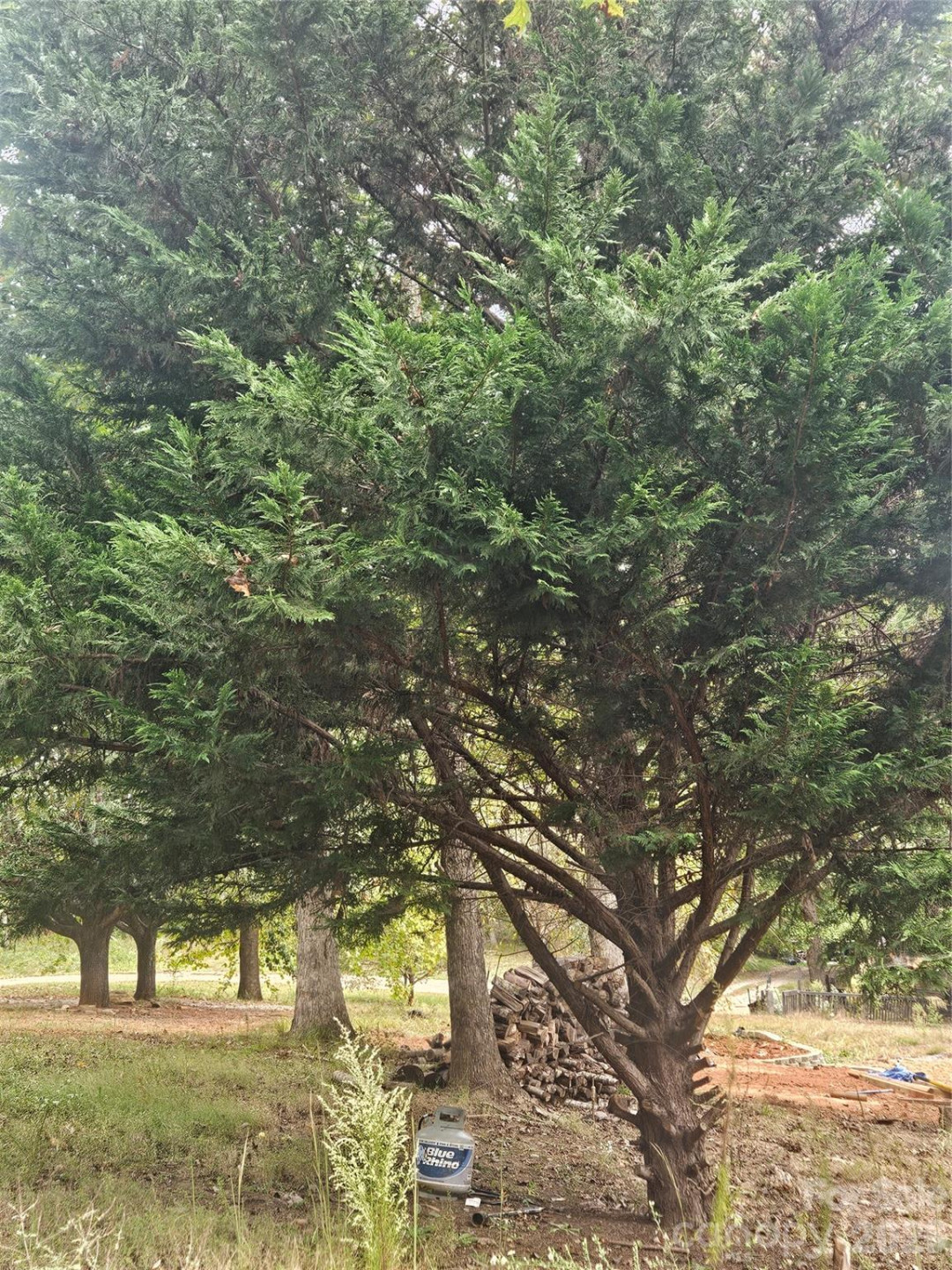 158 Dusty Hollow - Photo 13