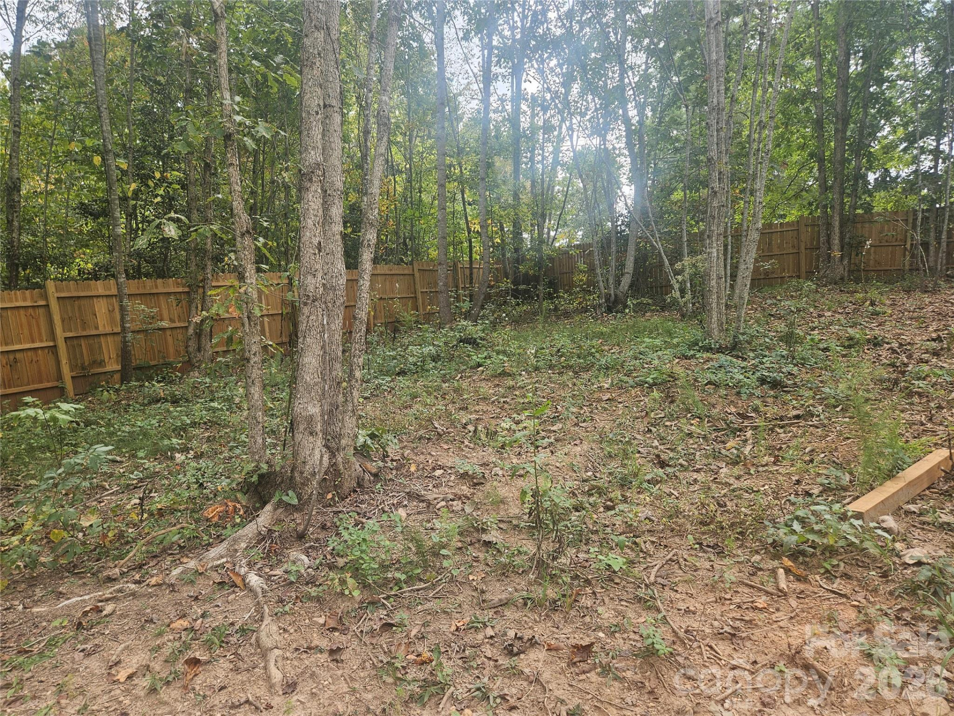 158 Dusty Hollow - Photo 19