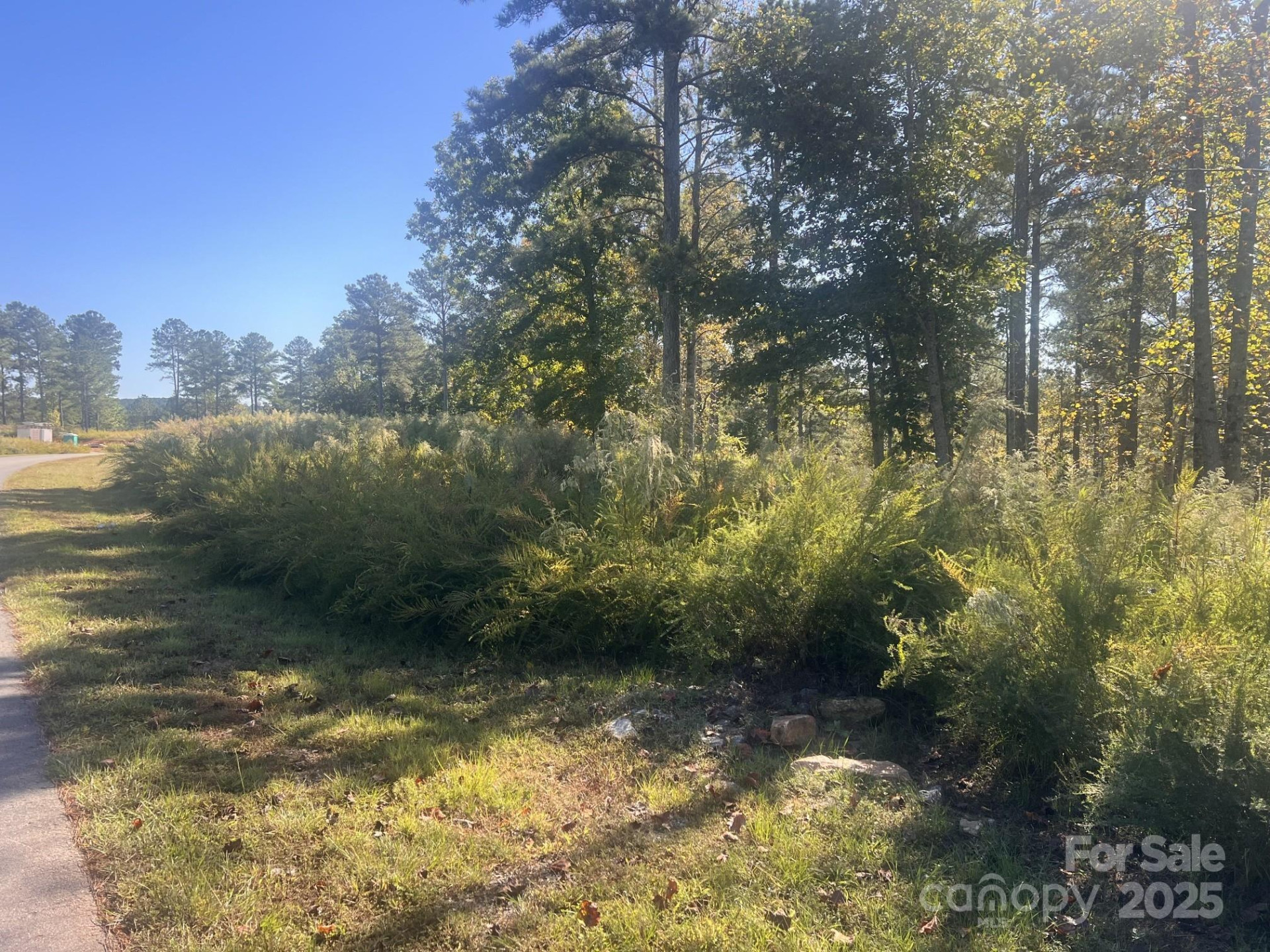 2478 Jumping Run #52 - Photo 3