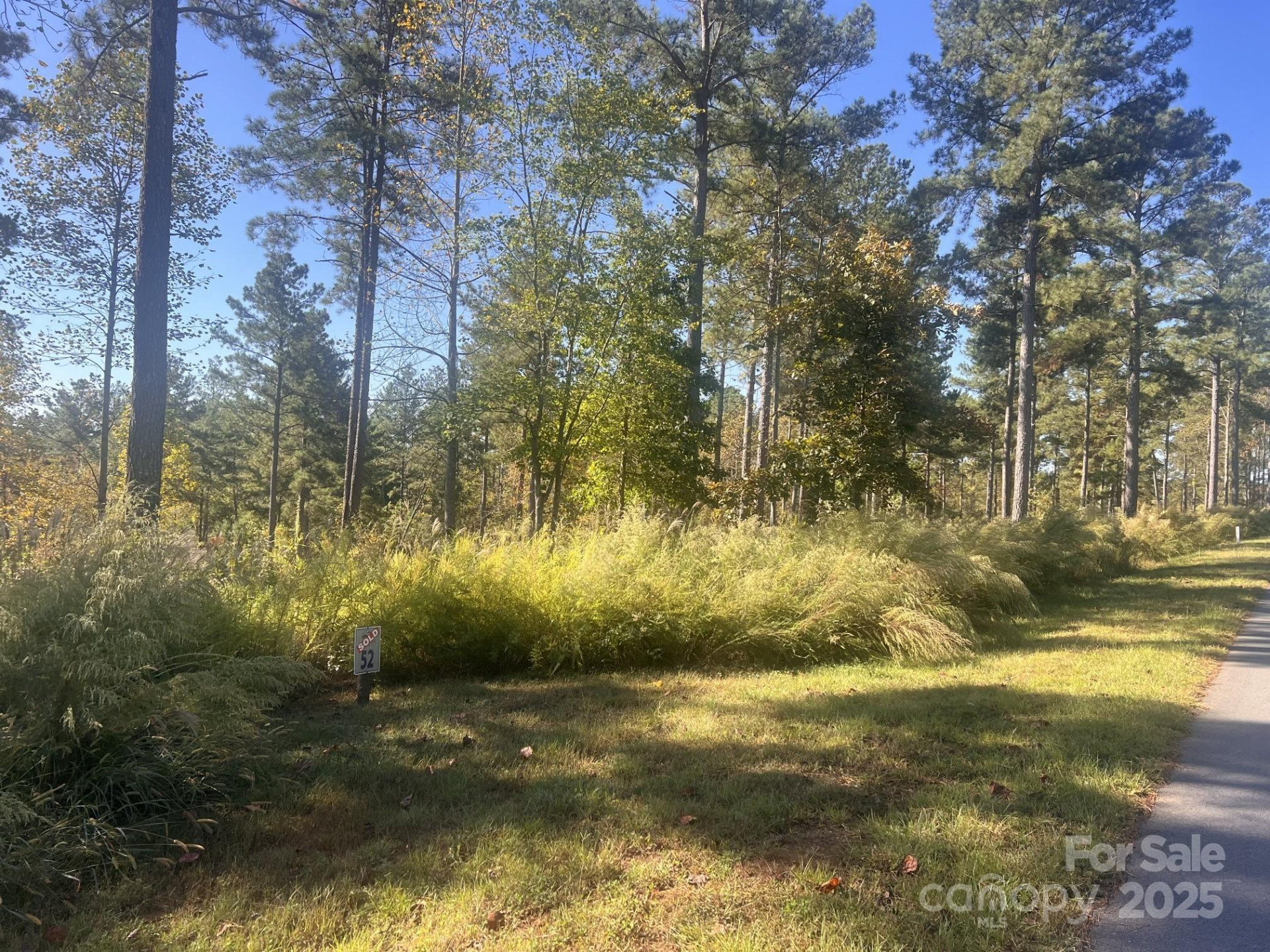 2478 Jumping Run #52 - Photo 4