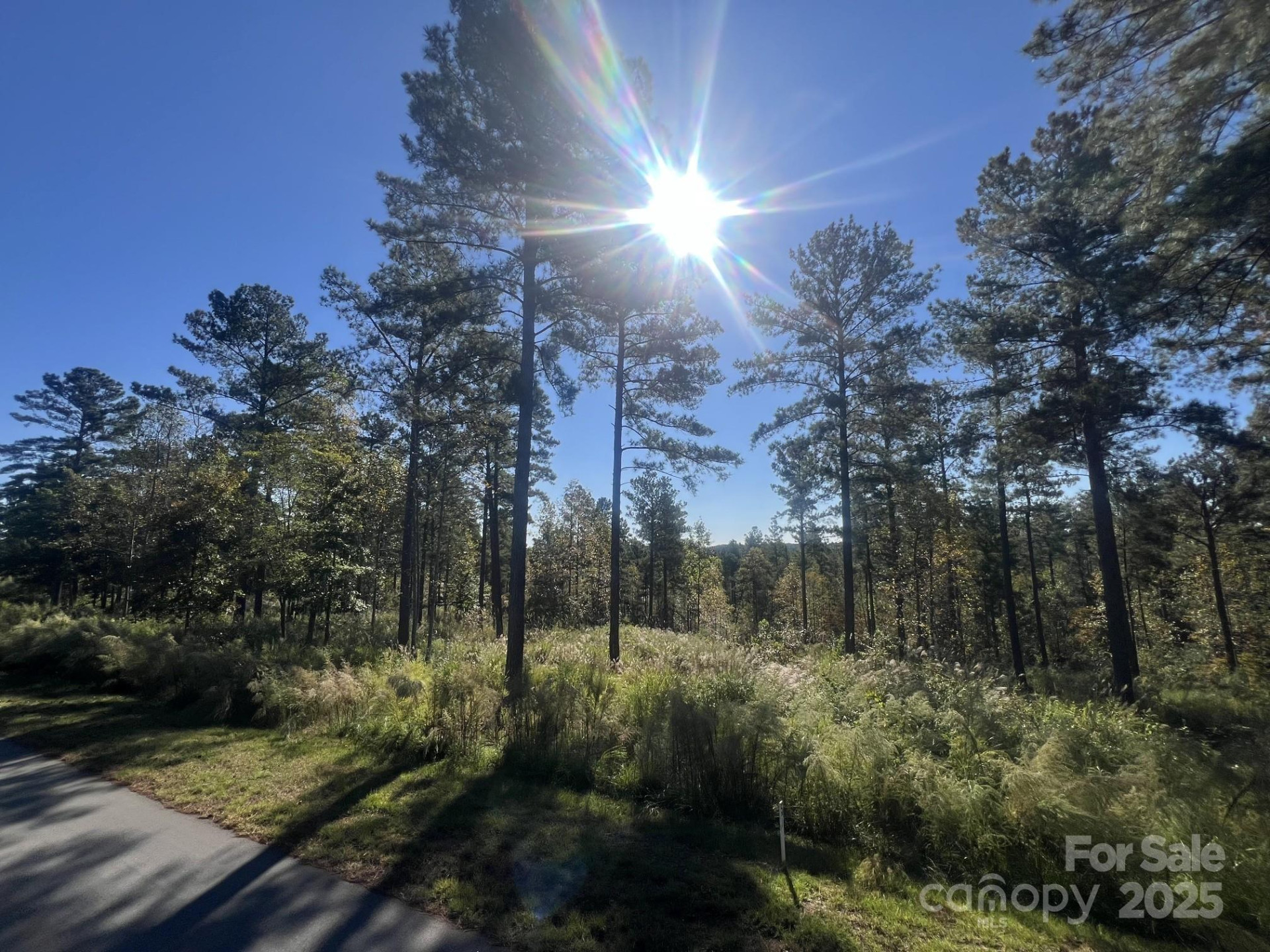 2478 Jumping Run #52 - Photo 5