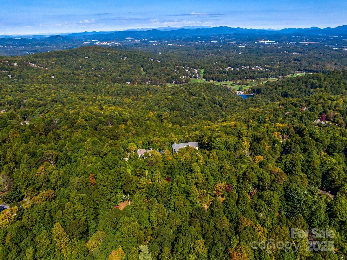 Lot 10 Berry Creek Drive - Photo 2