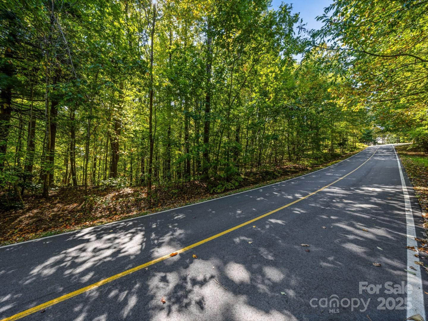 Lot 10 Berry Creek Drive - Photo 20