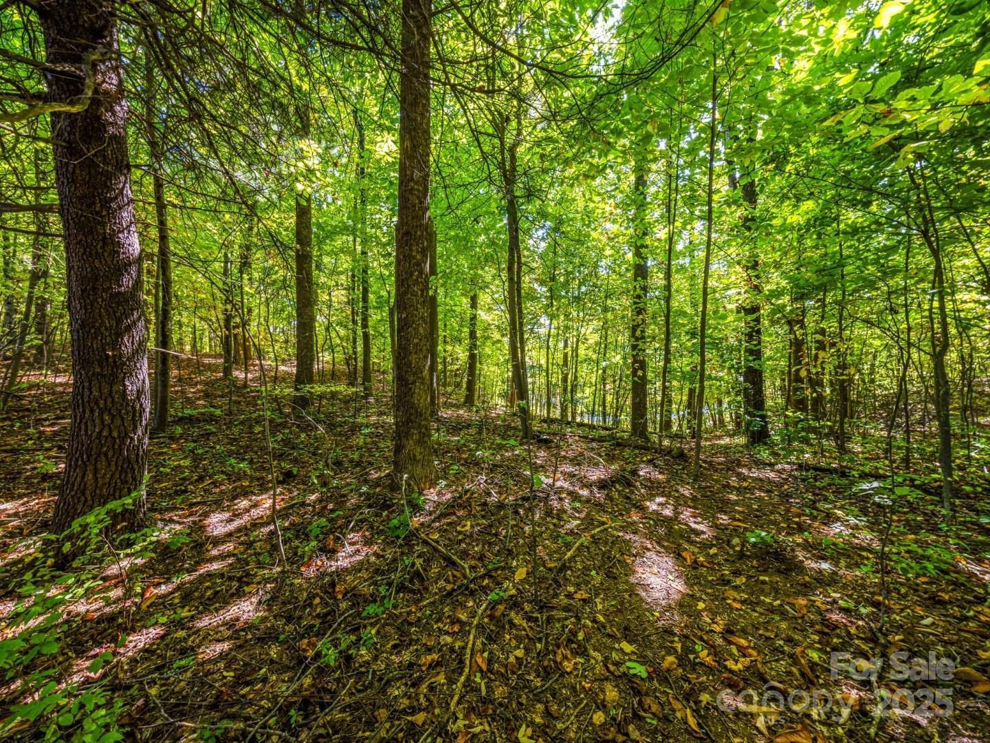 Lot 10 Berry Creek Drive - Photo 22