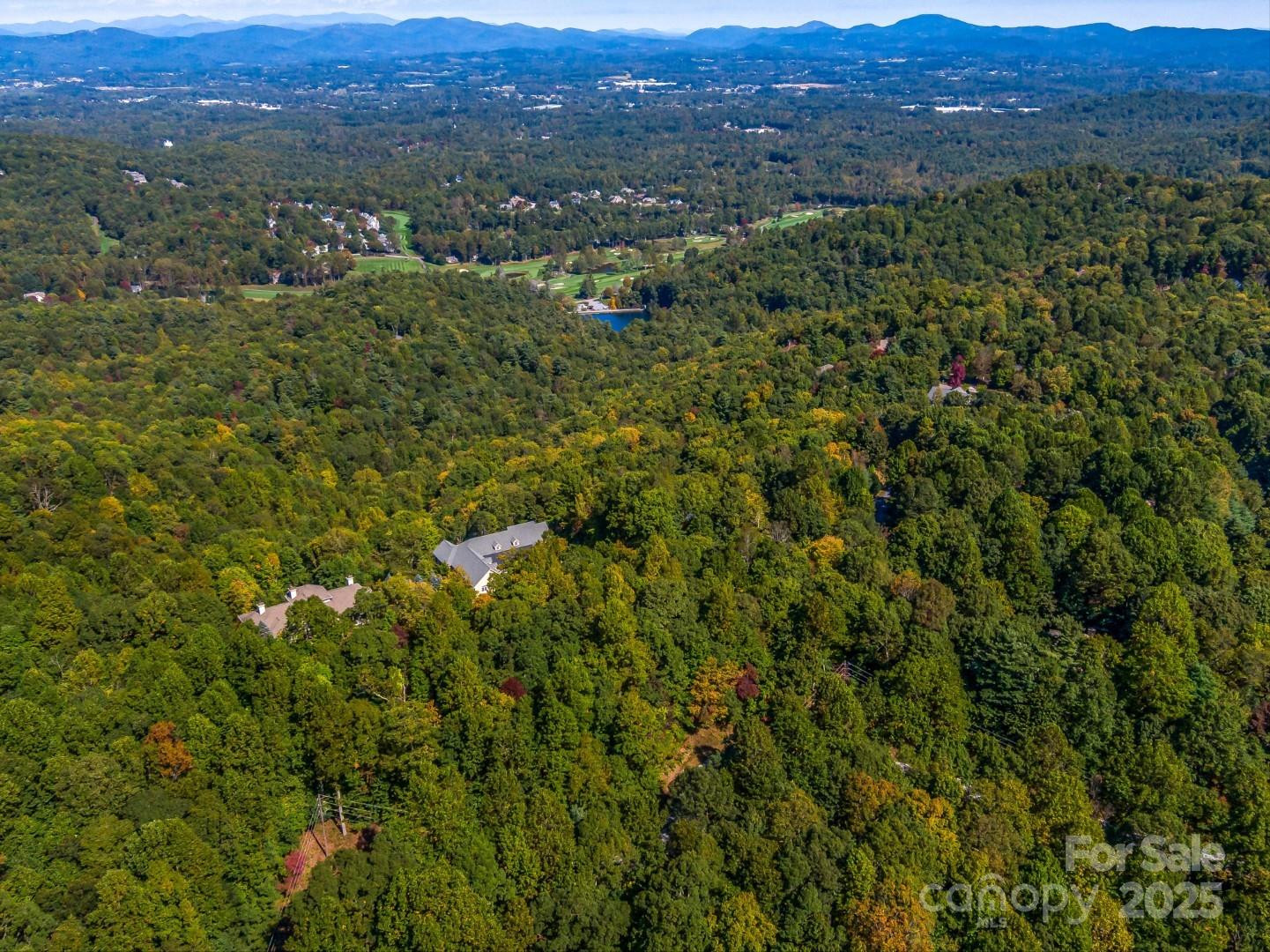 Lot 10 Berry Creek Drive - Photo 4