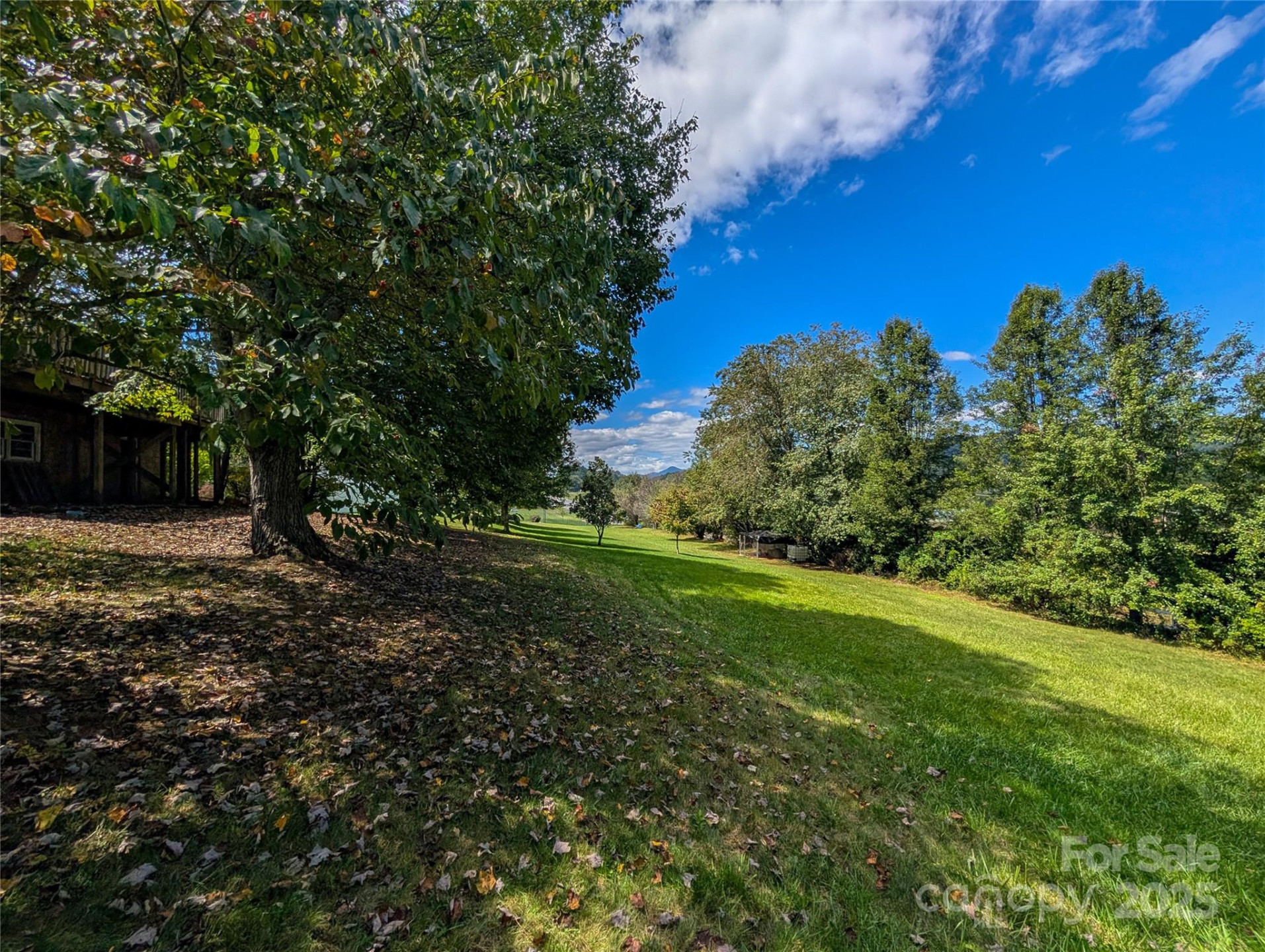 117 River Look Drive - Photo 11