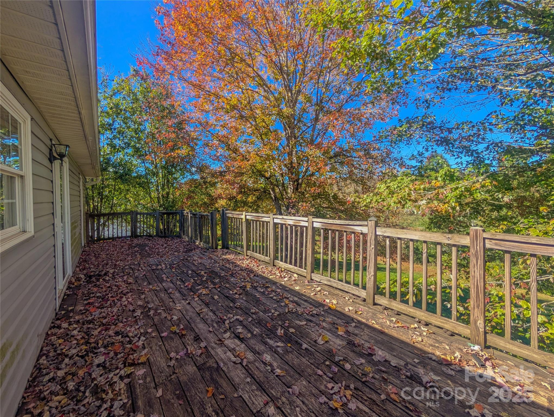 117 River Look Drive - Photo 19