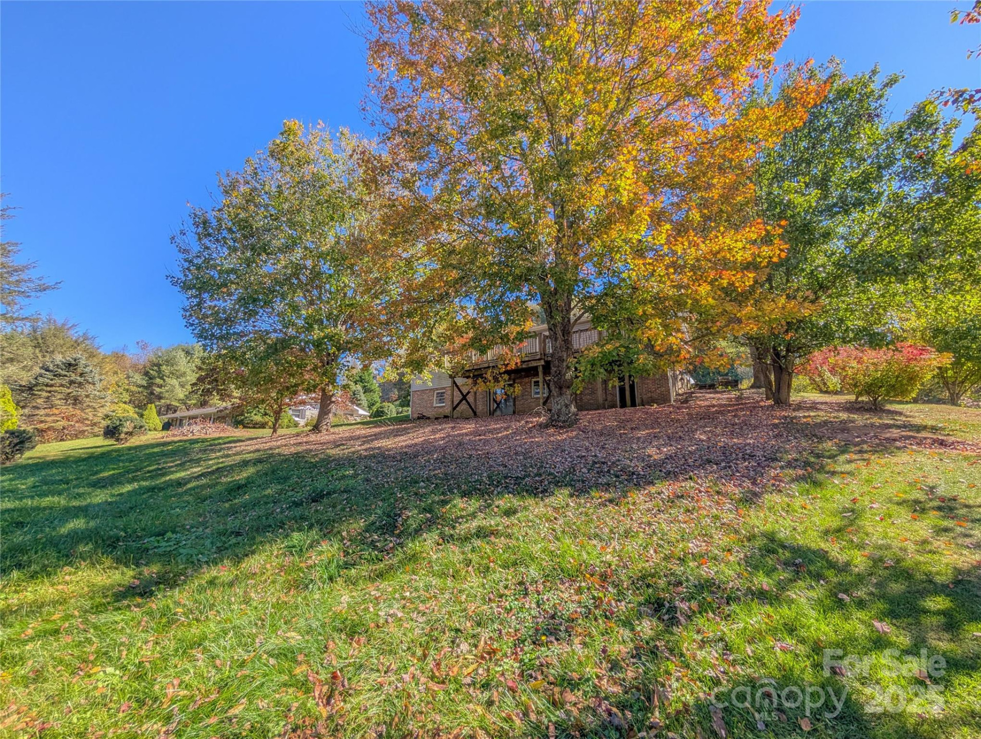 117 River Look Drive - Photo 10