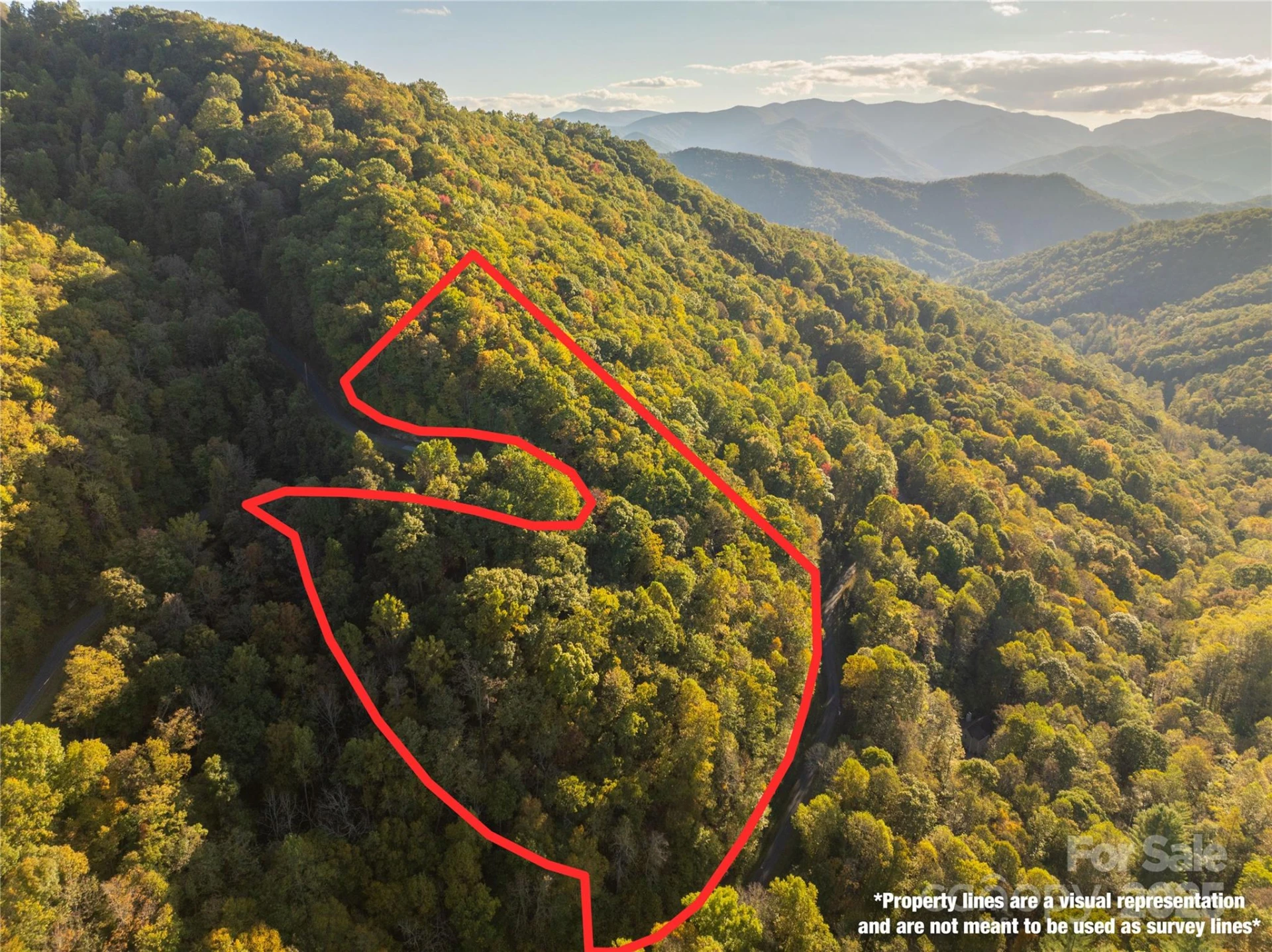 Lot 39 Brush Creek Mountain Road #39