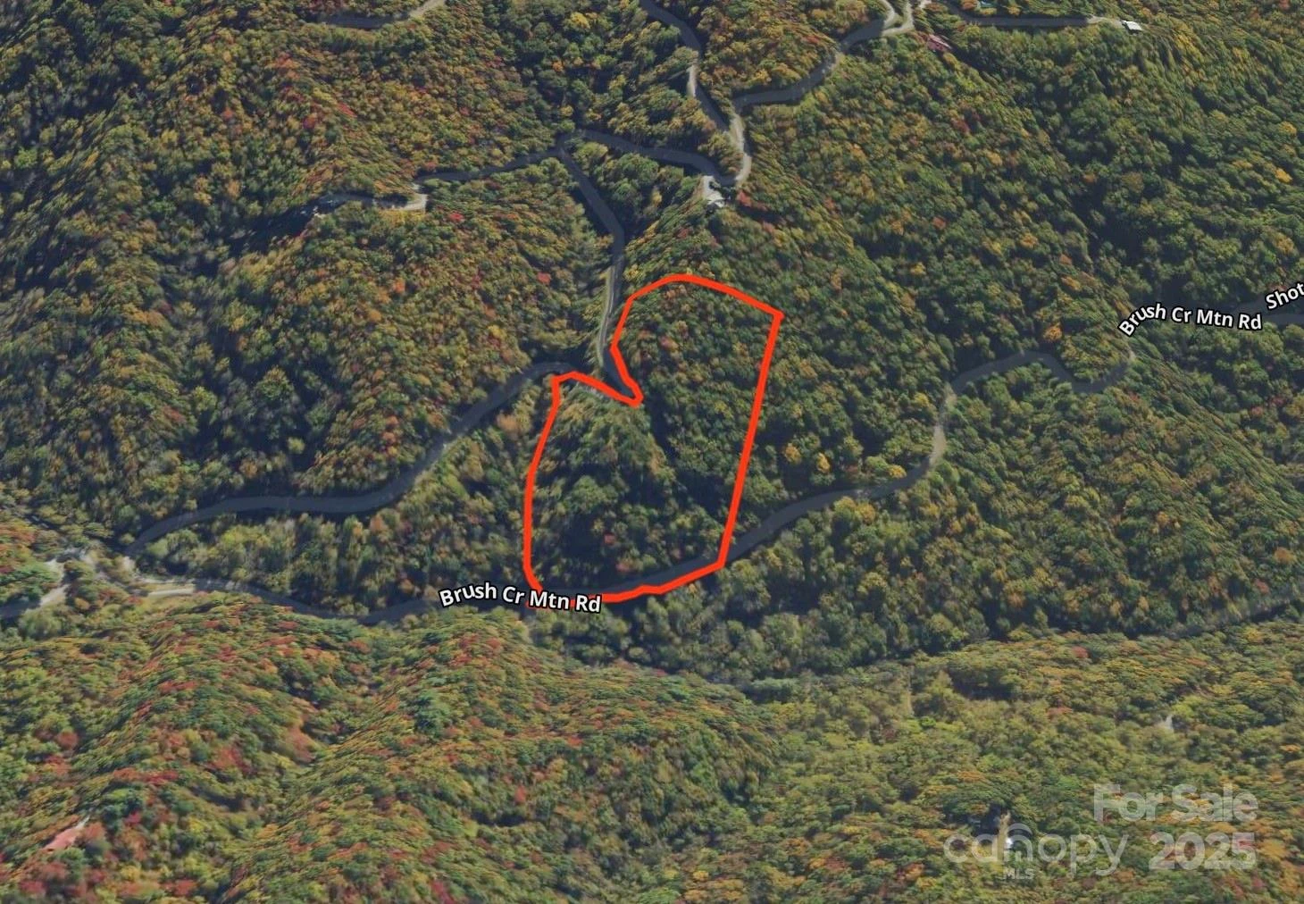 Lot 39 Brush Creek Mountain Road #39 - Photo 2