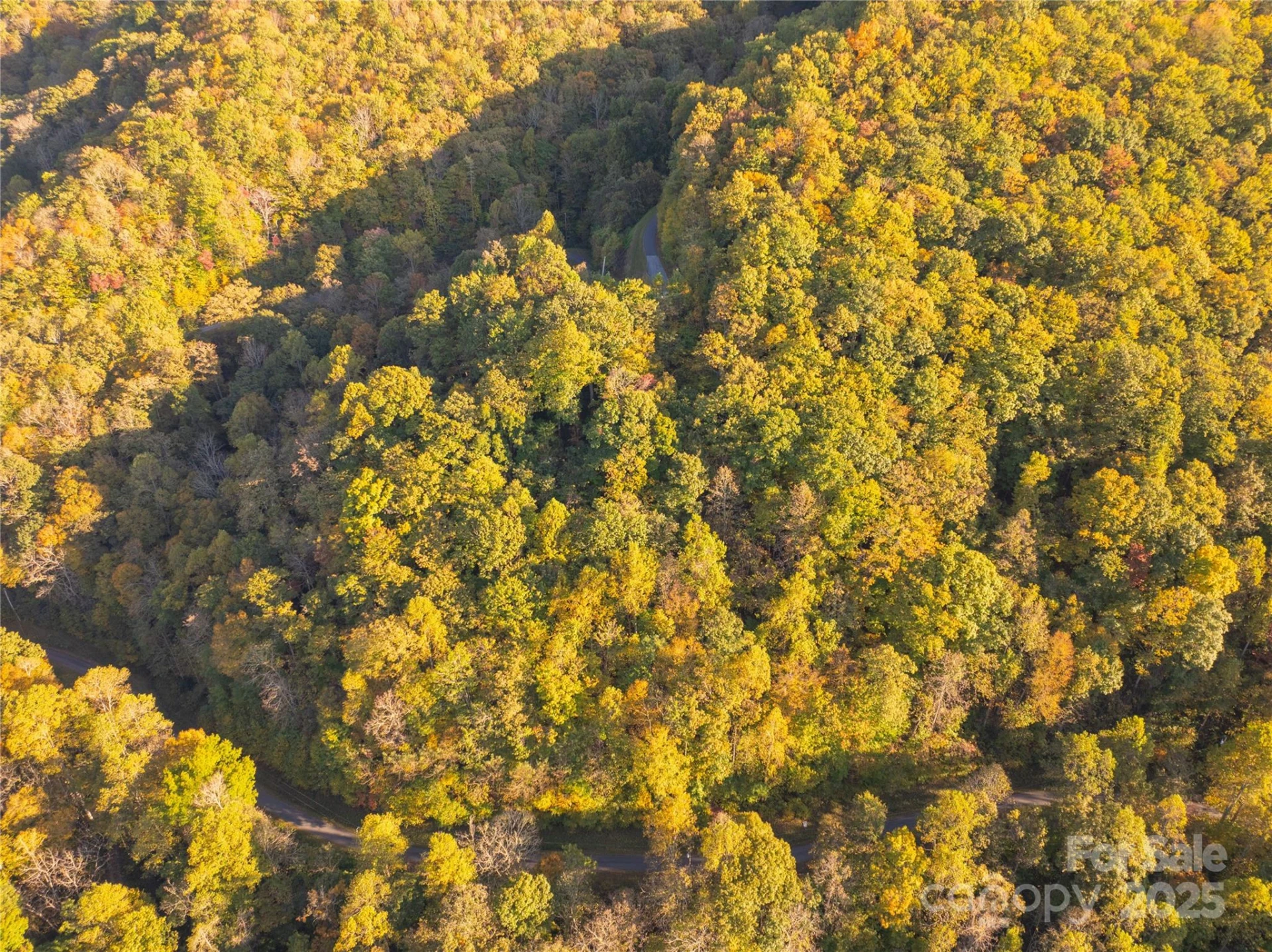 Lot 39 Brush Creek Mountain Road #39 - Photo 3