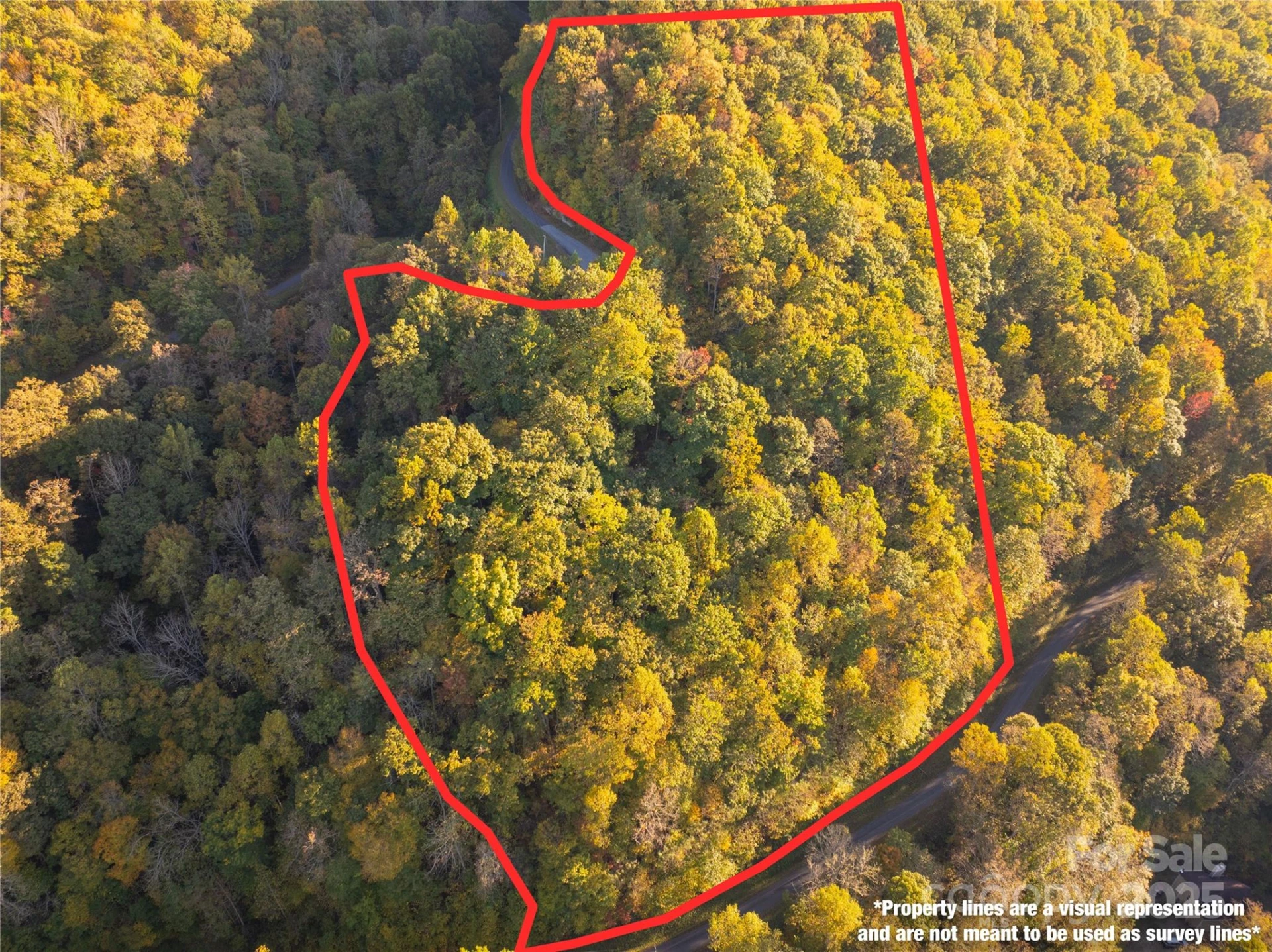Lot 39 Brush Creek Mountain Road #39 - Photo 4