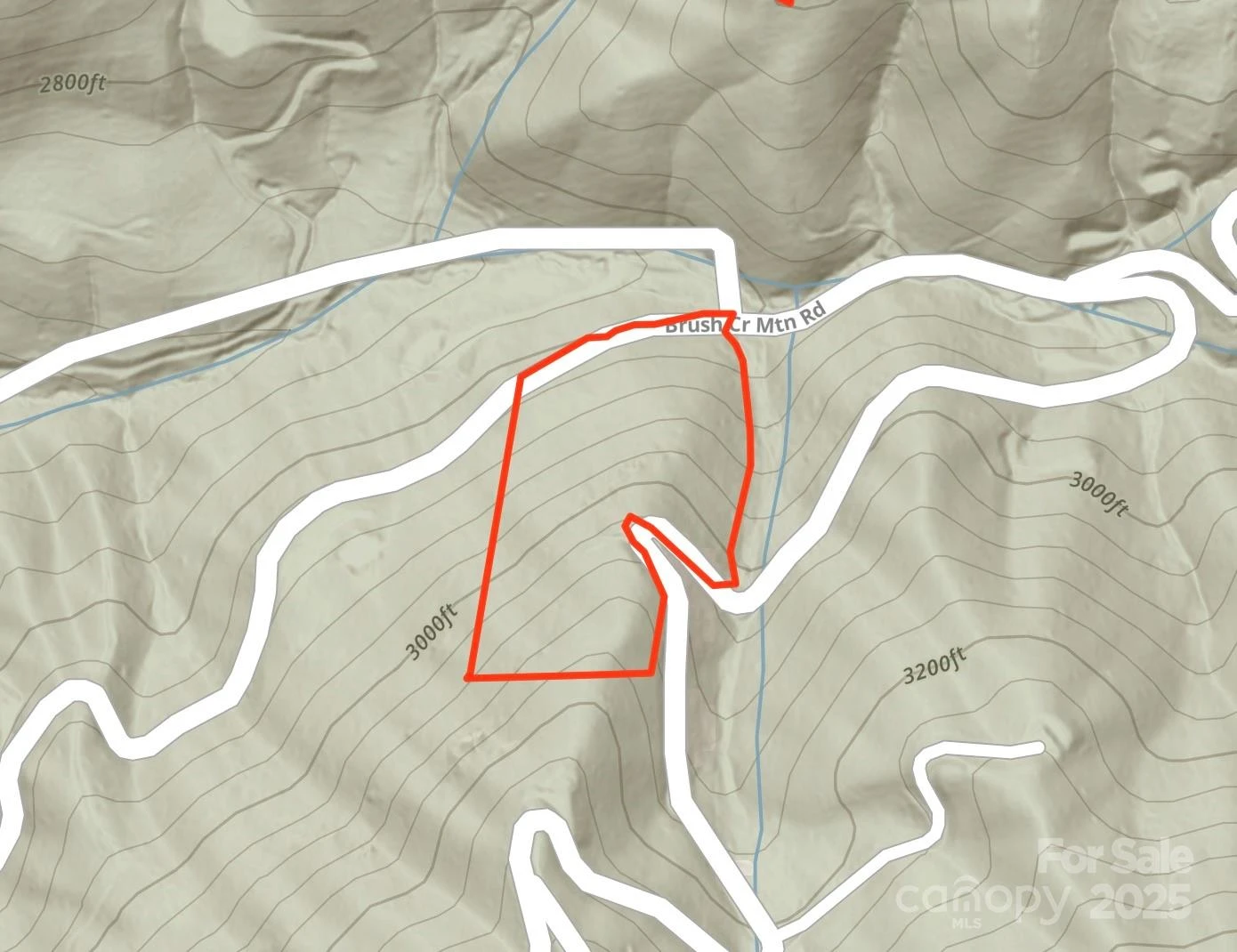 Lot 39 Brush Creek Mountain Road #39 - Photo 5