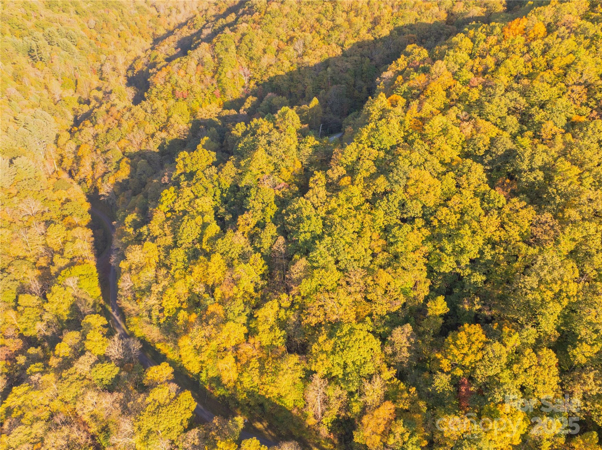 Lot 39 Brush Creek Mountain Road #39 - Photo 6