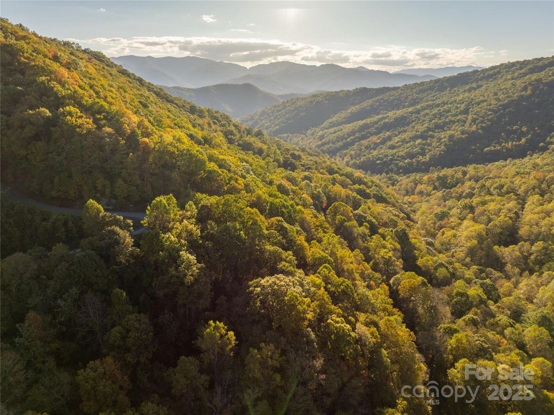 Lot 39 Brush Creek Mountain Road #39 - Photo 7