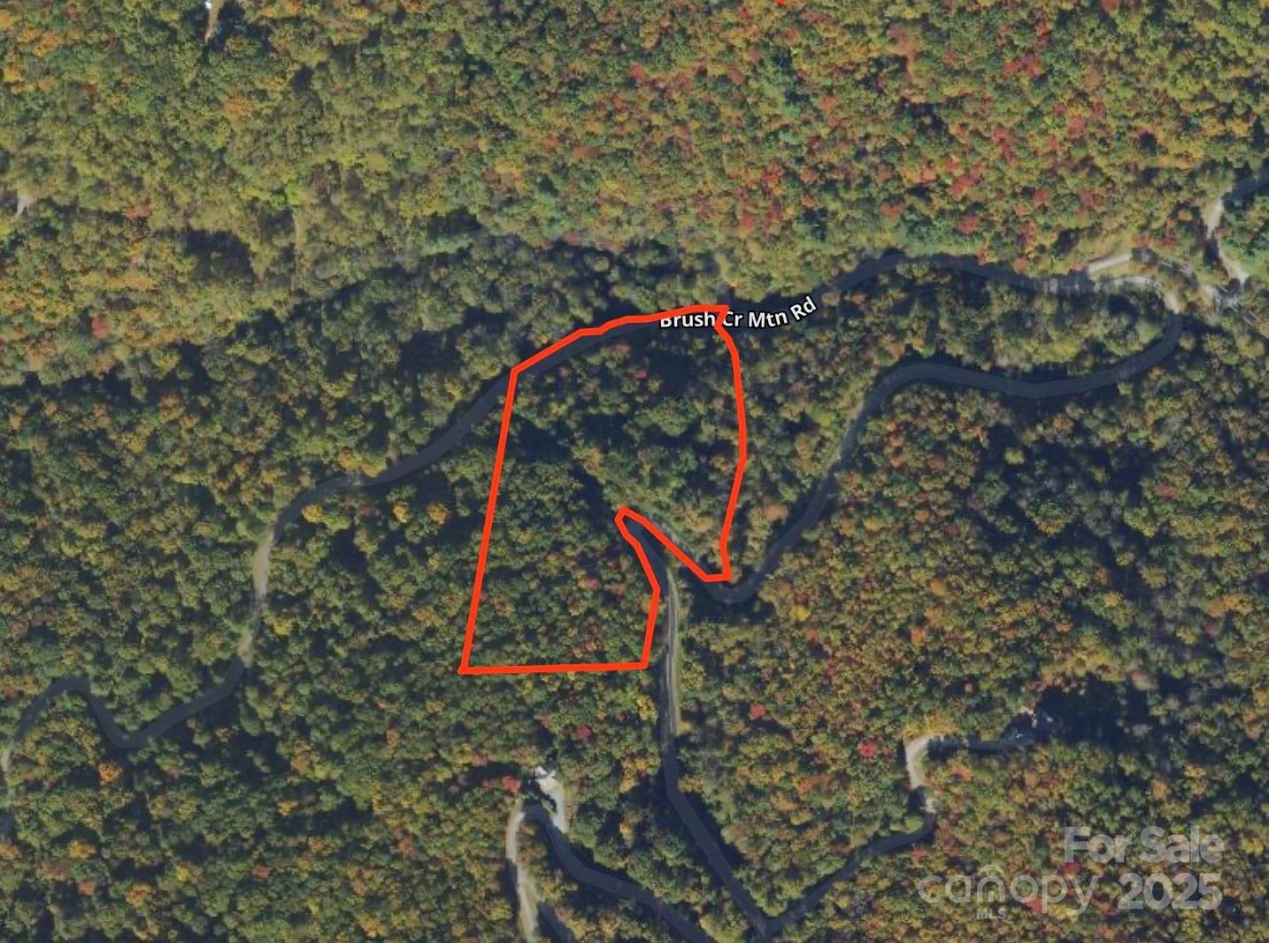 Lot 39 Brush Creek Mountain Road #39 - Photo 8