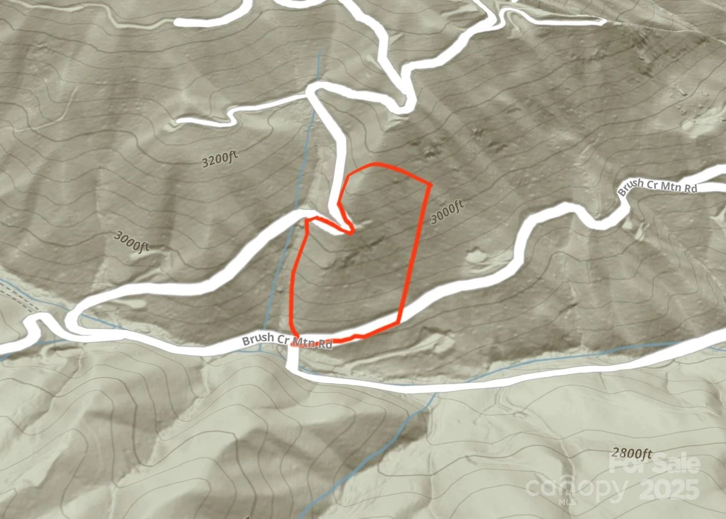 Lot 39 Brush Creek Mountain Road #39 - Photo 9