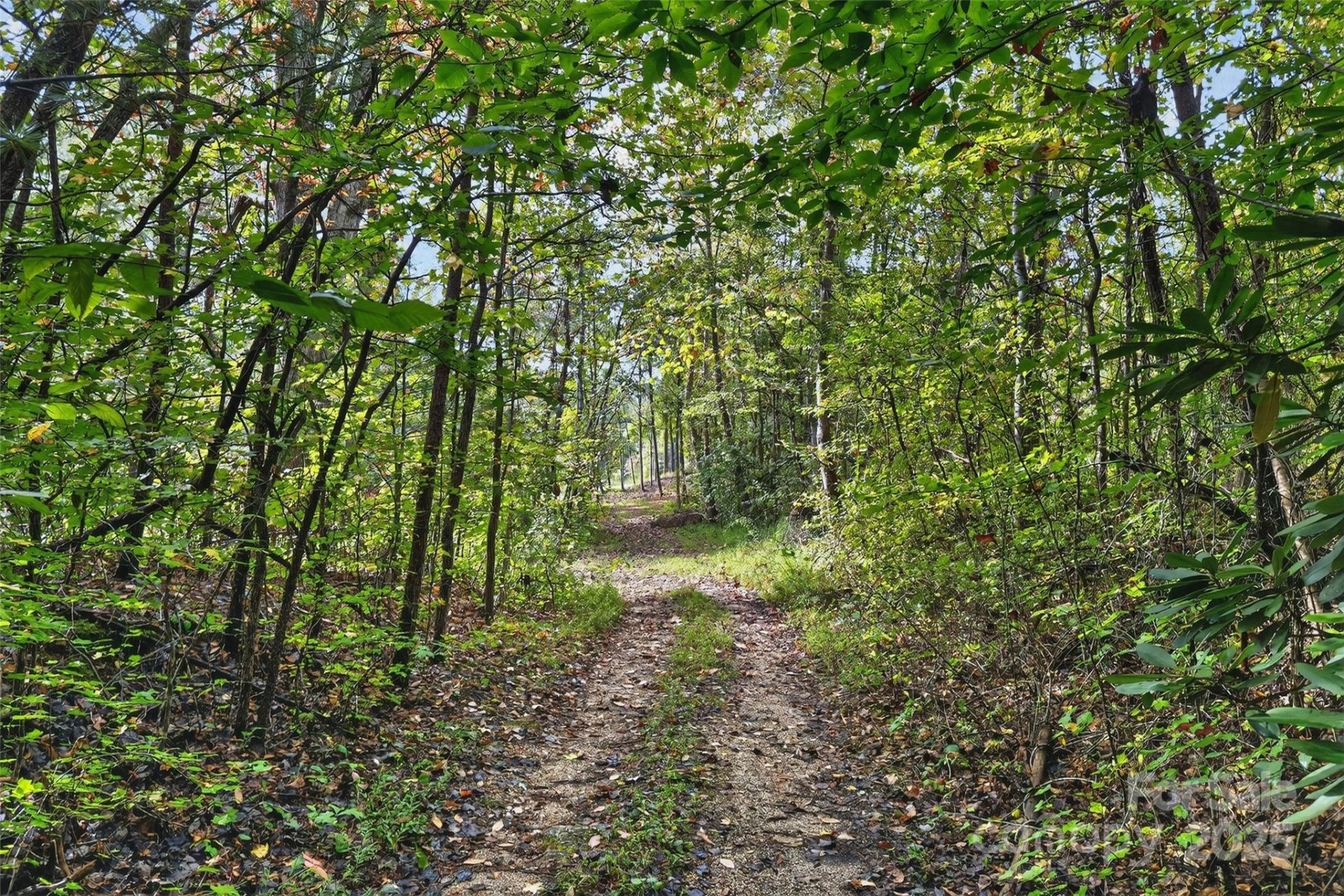 99999 Blue Ridge Drive - Photo 11