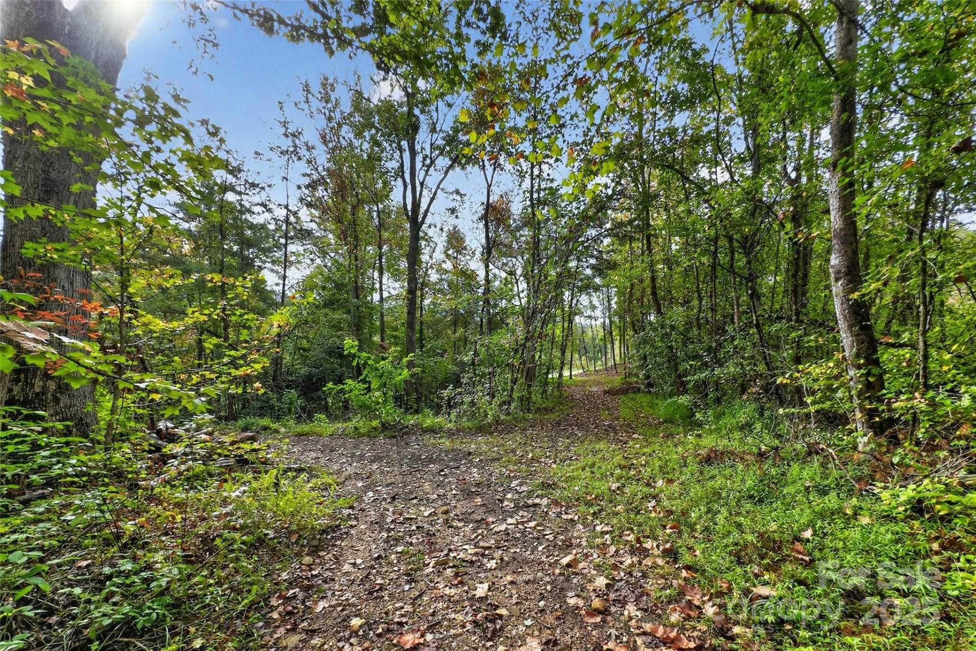 99999 Blue Ridge Drive - Photo 12