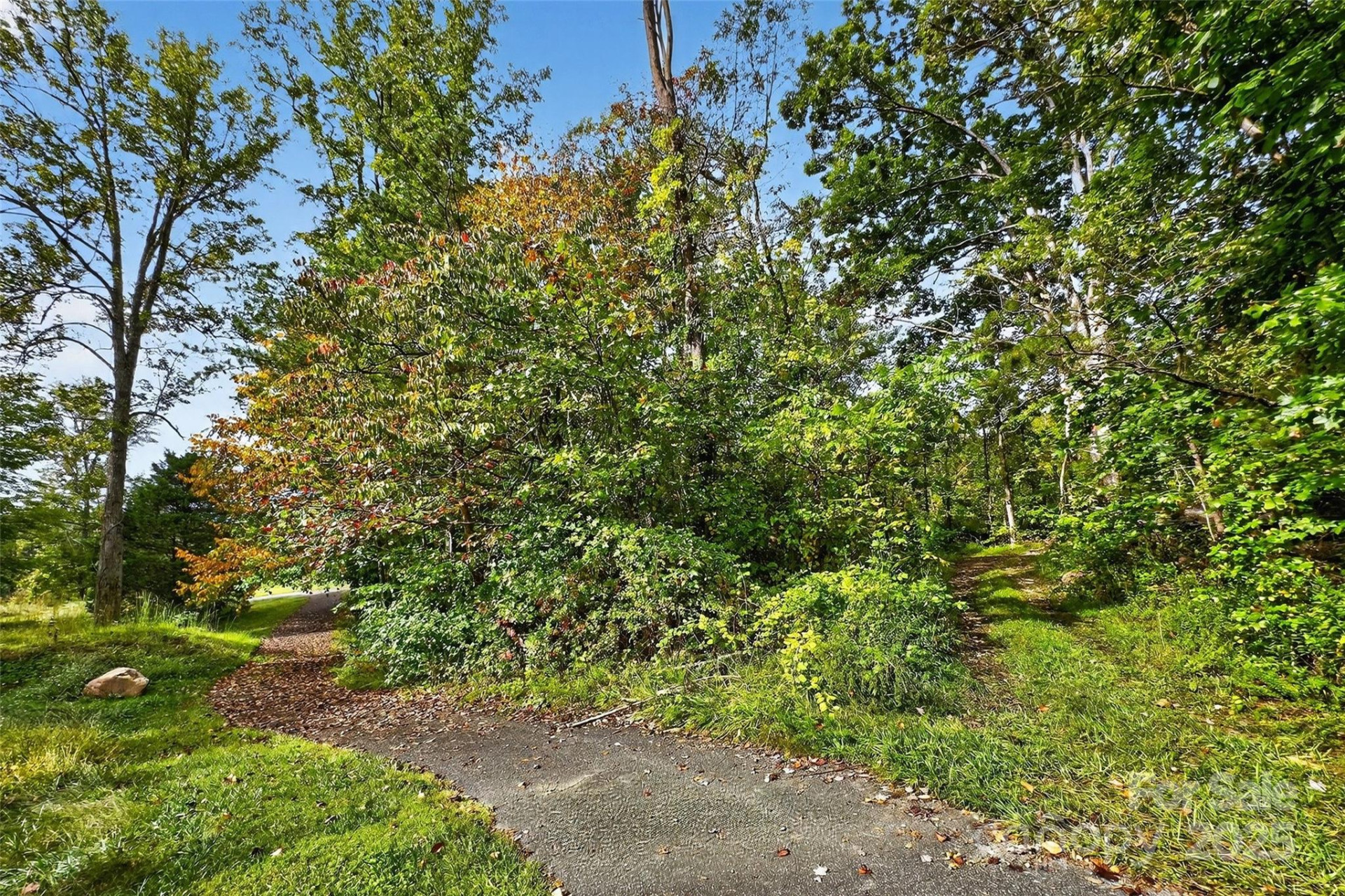 99999 Blue Ridge Drive - Photo 13