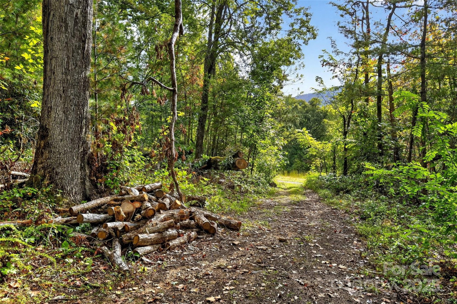 99999 Blue Ridge Drive - Photo 14