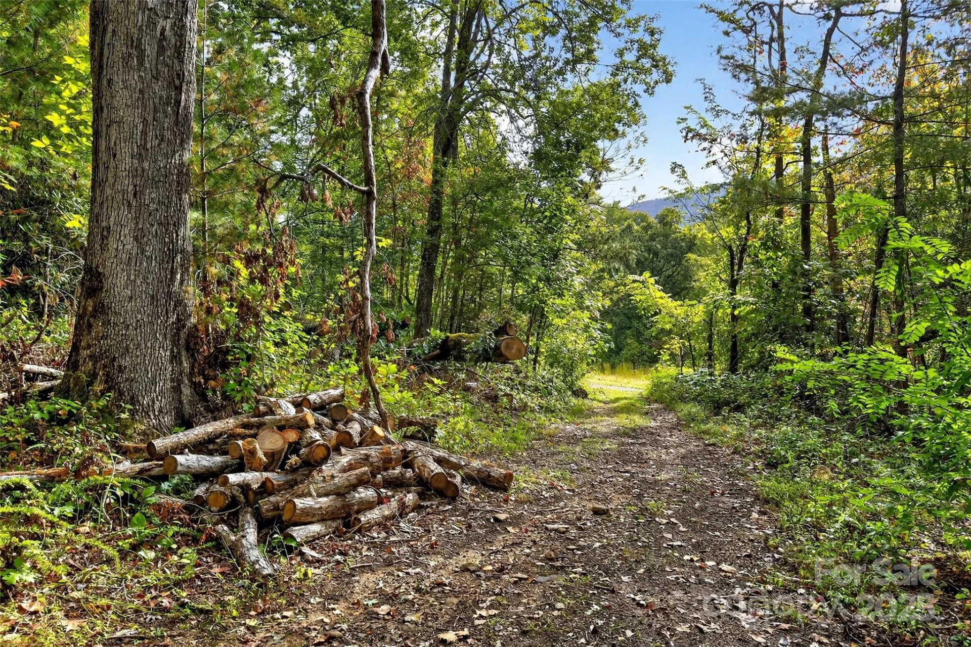 99999 Blue Ridge Drive - Photo 14