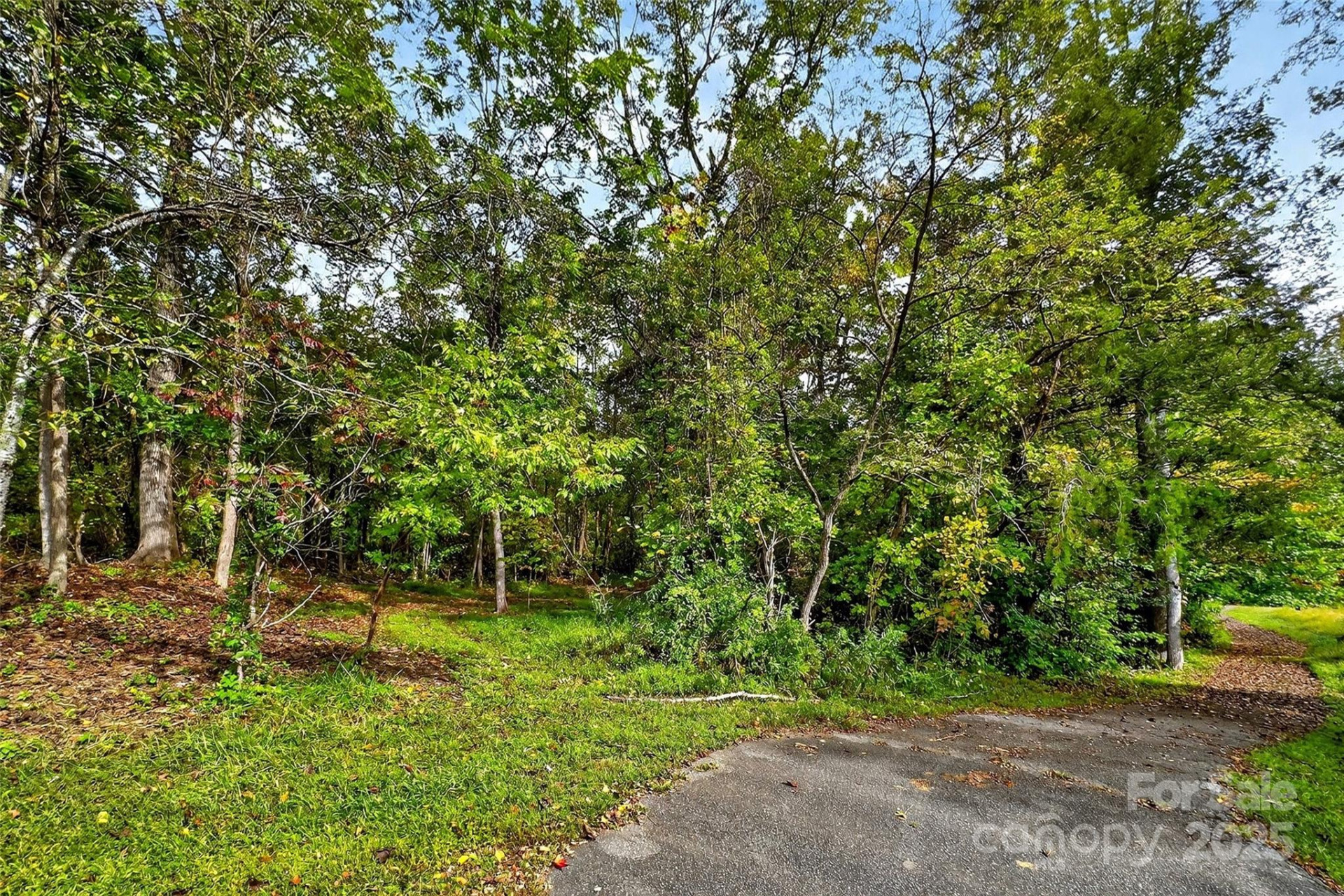 99999 Blue Ridge Drive - Photo 15